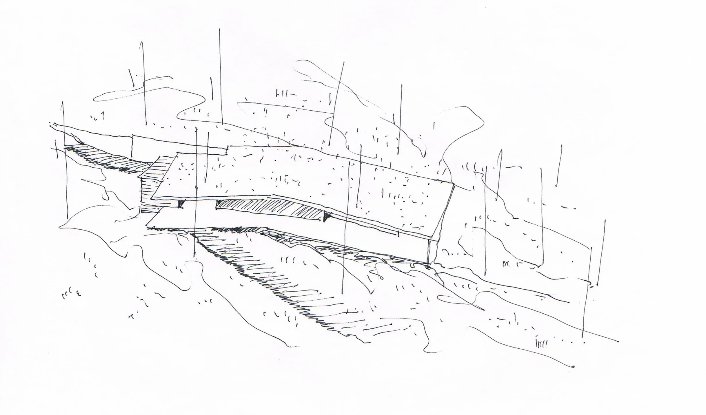DIBUJO 23.jpg