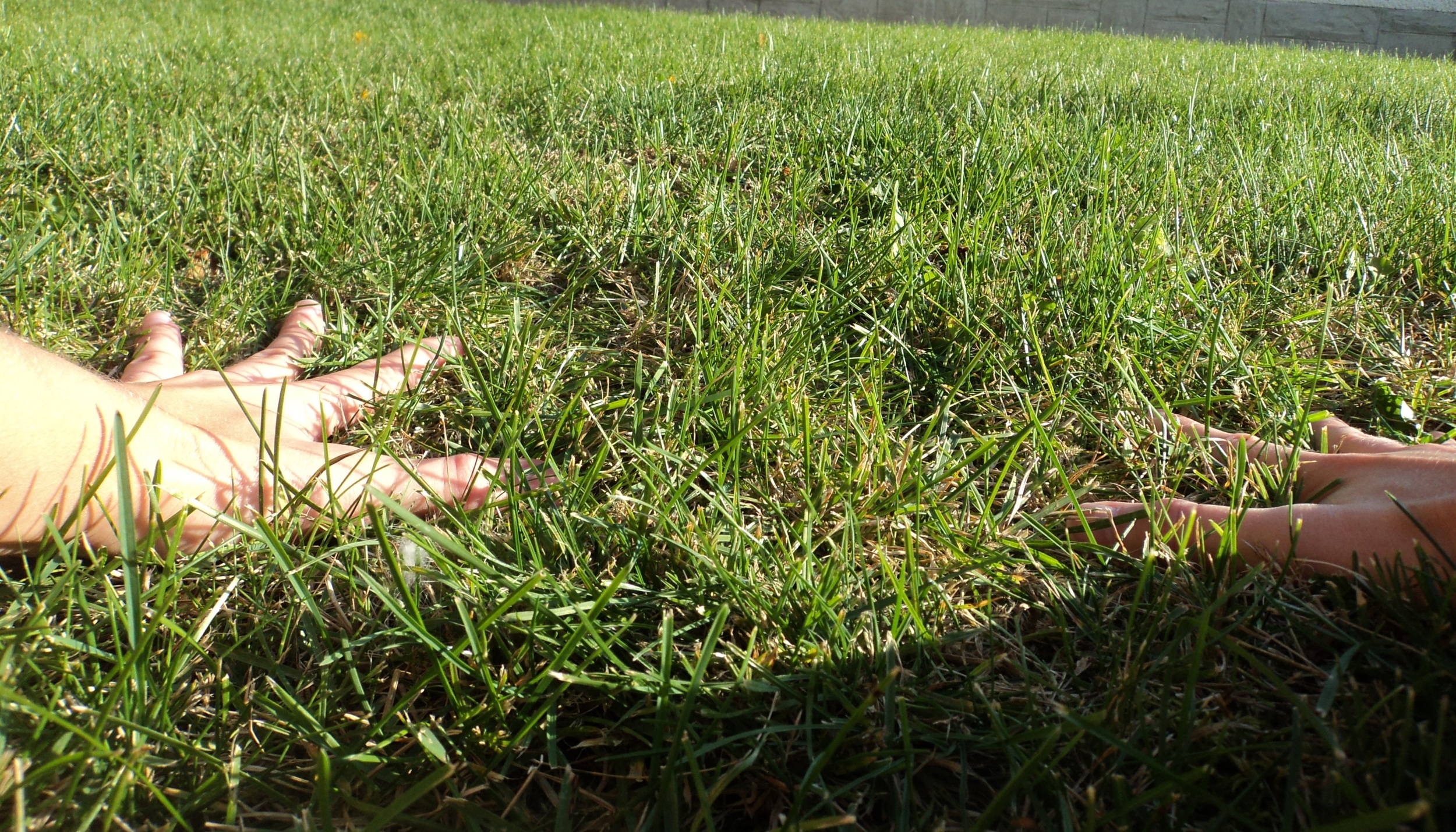 Keep the entire palm and fingers pressing into the earth