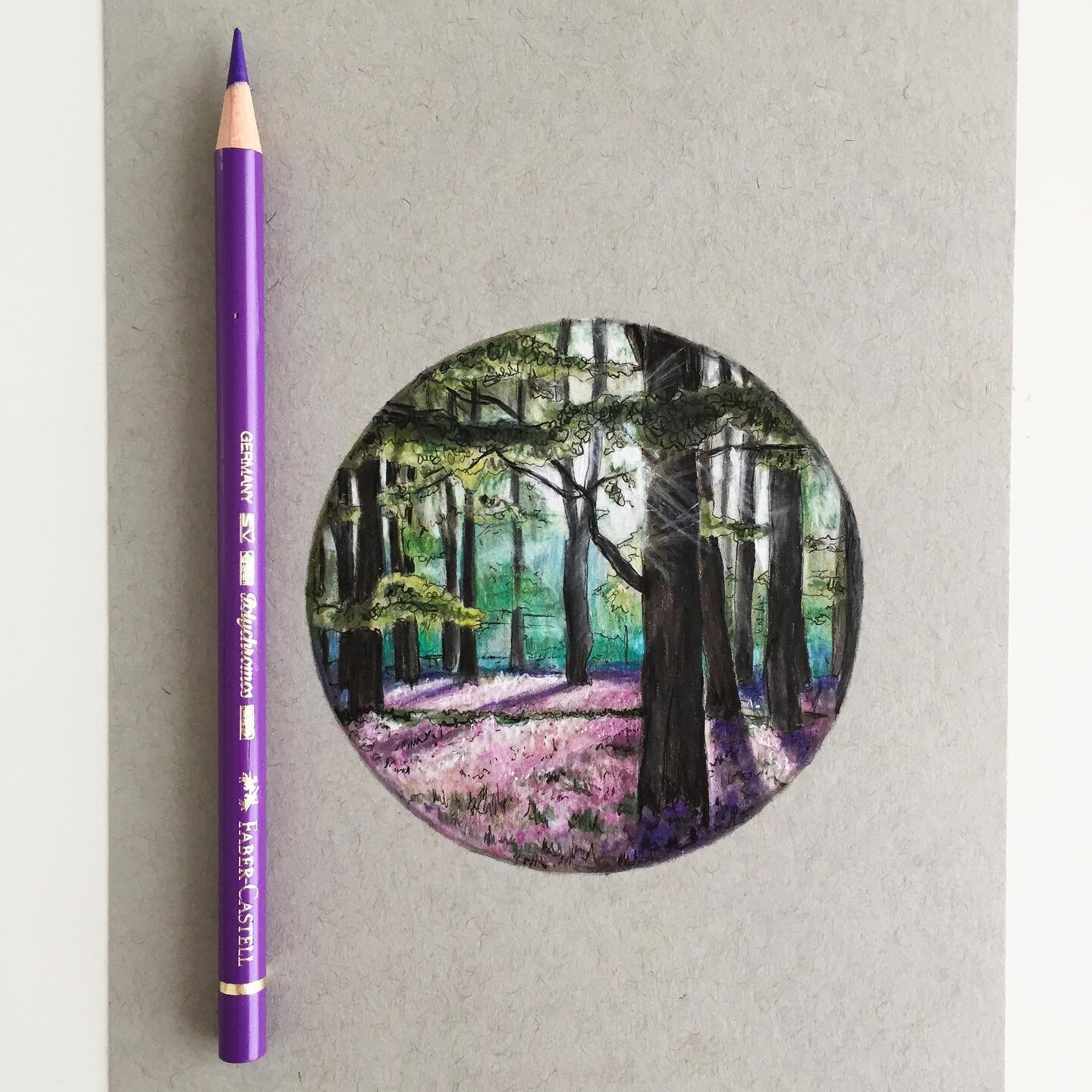 🌷
.
.
#art #drawing #pen #pencil #sketch #illustration #bluebells #woodland #spring #fabercastell #strathmore