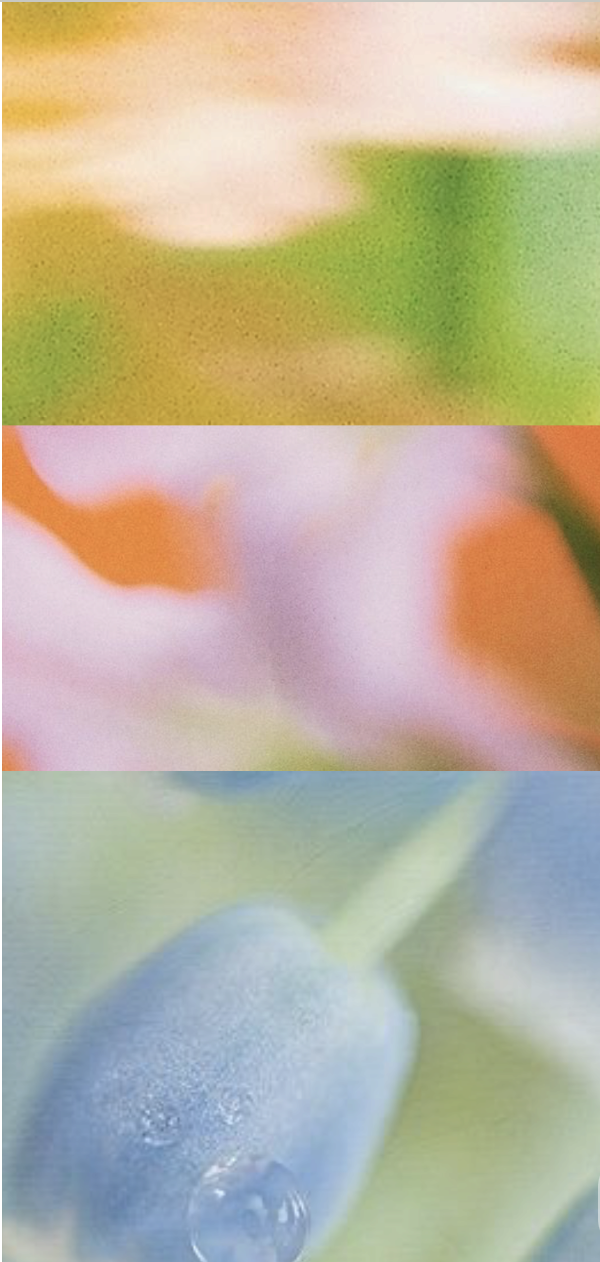 CleanShot 2026-05-31 at 10.09.30@2x.png