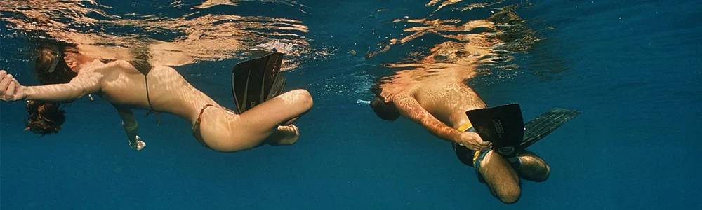 surface divers.jpg