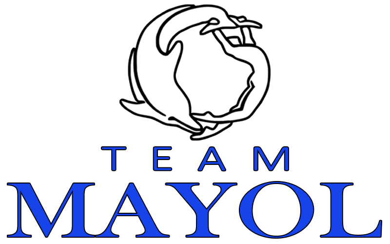 Teammayol