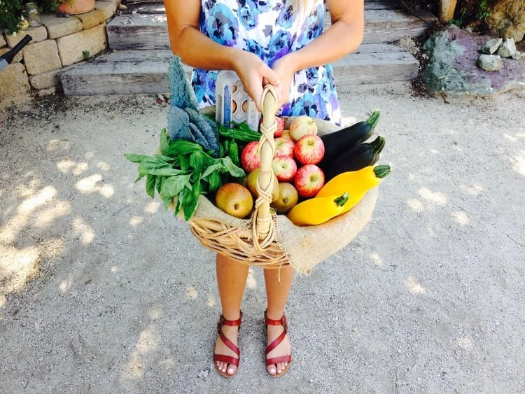 &nbsp; &nbsp; &nbsp; &nbsp; &nbsp; &nbsp; &nbsp; &nbsp;THE APPLE STAND