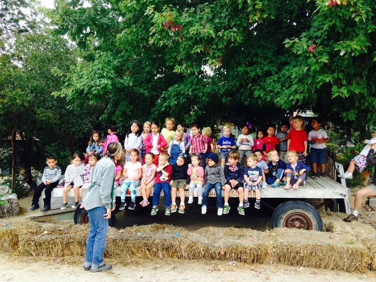 &nbsp; &nbsp; &nbsp; &nbsp; &nbsp; &nbsp; &nbsp; &nbsp; &nbsp; &nbsp; &nbsp;&nbsp;FIELD TRIPS