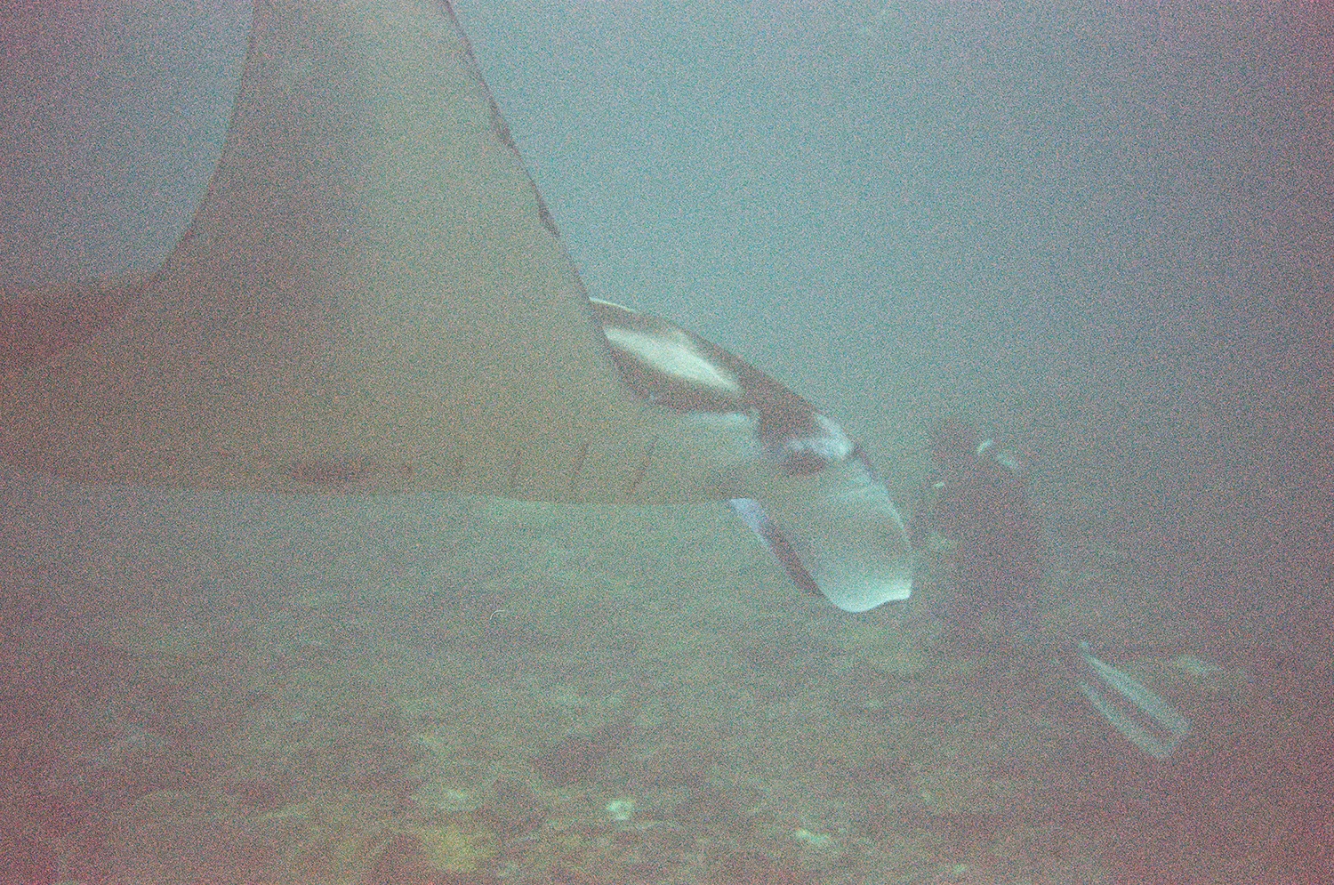s-303870030012.jpg