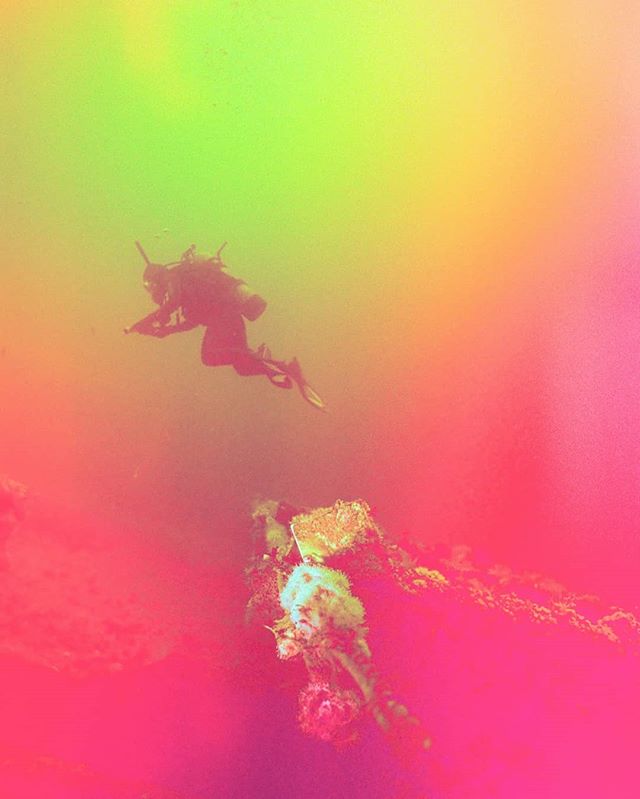 Pushing @psychedelic_blues_film No. 3 two stops, 20 meters below the Pacific, just south of Tijuana. With @joannatang03 and @buceabajanorte. | #thesaltycamera #nikonos #baja .
.
.
.
. .
#scubadiving #paditv #35mm #analoguevibes #taintedmag #filmshooters #buyfilmnotmegapixels #staybrokeshootfilm #waterlust #bucear #mexico #wanderlust #filmisnotdead #thedarkroomlab #thelifeaquatic #underwaterphotography #uwphotography #scubadiver #wreckdiving #sheadventures #radgirlslife #girlswhodive #tequilasunrise #35mmphotography #PsychBluesFilm #fadedaesthetics #heyfsc
