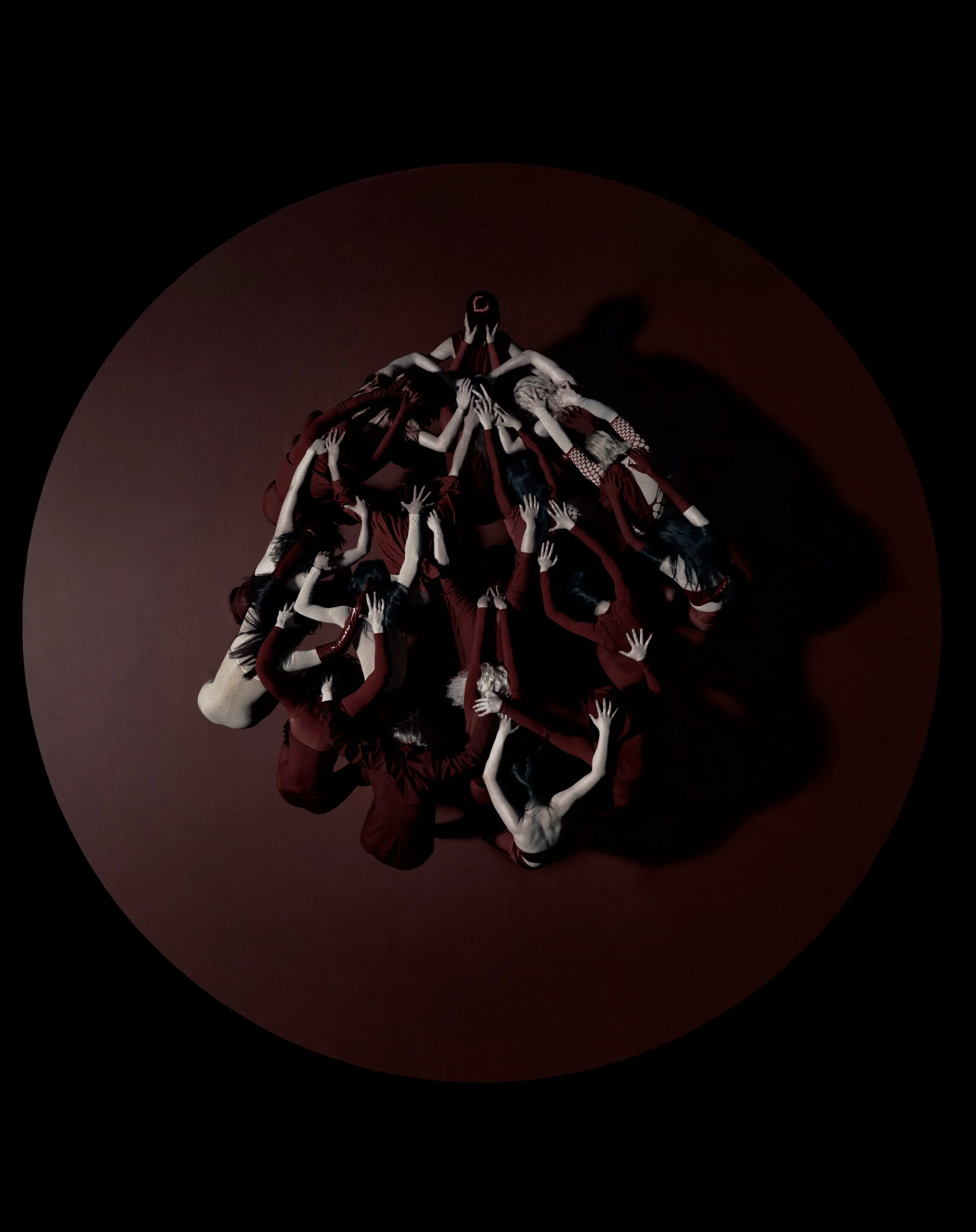 20250524_MB_DISINFORMATION_5x4_300DPI_022_V1 8.jpg