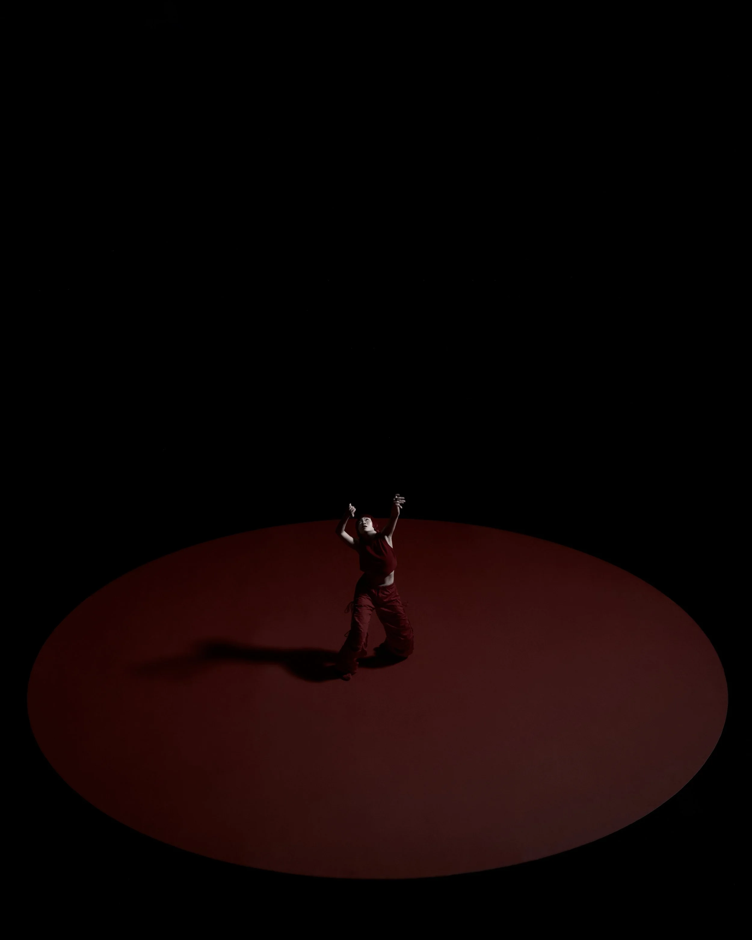 20250524_MB_DISINFORMATION_9x16_72DPI_009 2.jpg