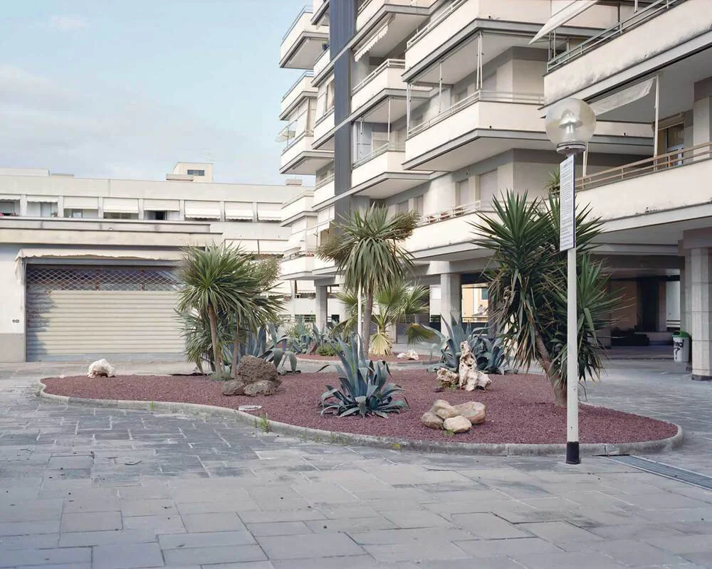 A landscaped area in front of a modern building with palm trees, agave plants, rocks, and a streetlamp, surrounded by a paved sidewalk.