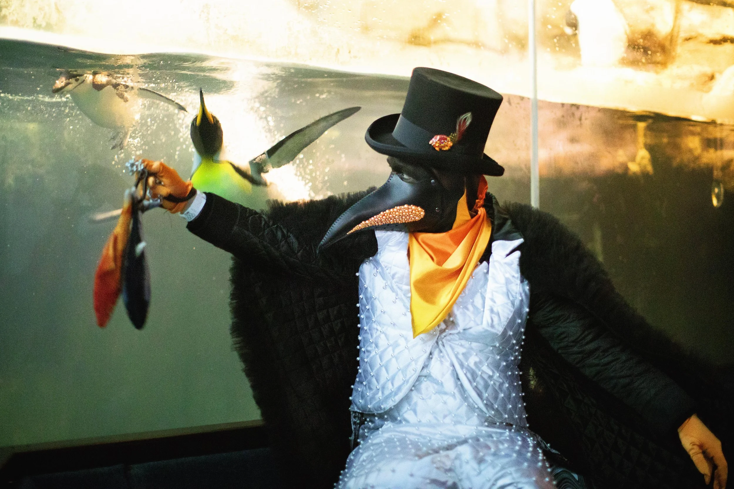 Neff Penguins-small.jpg