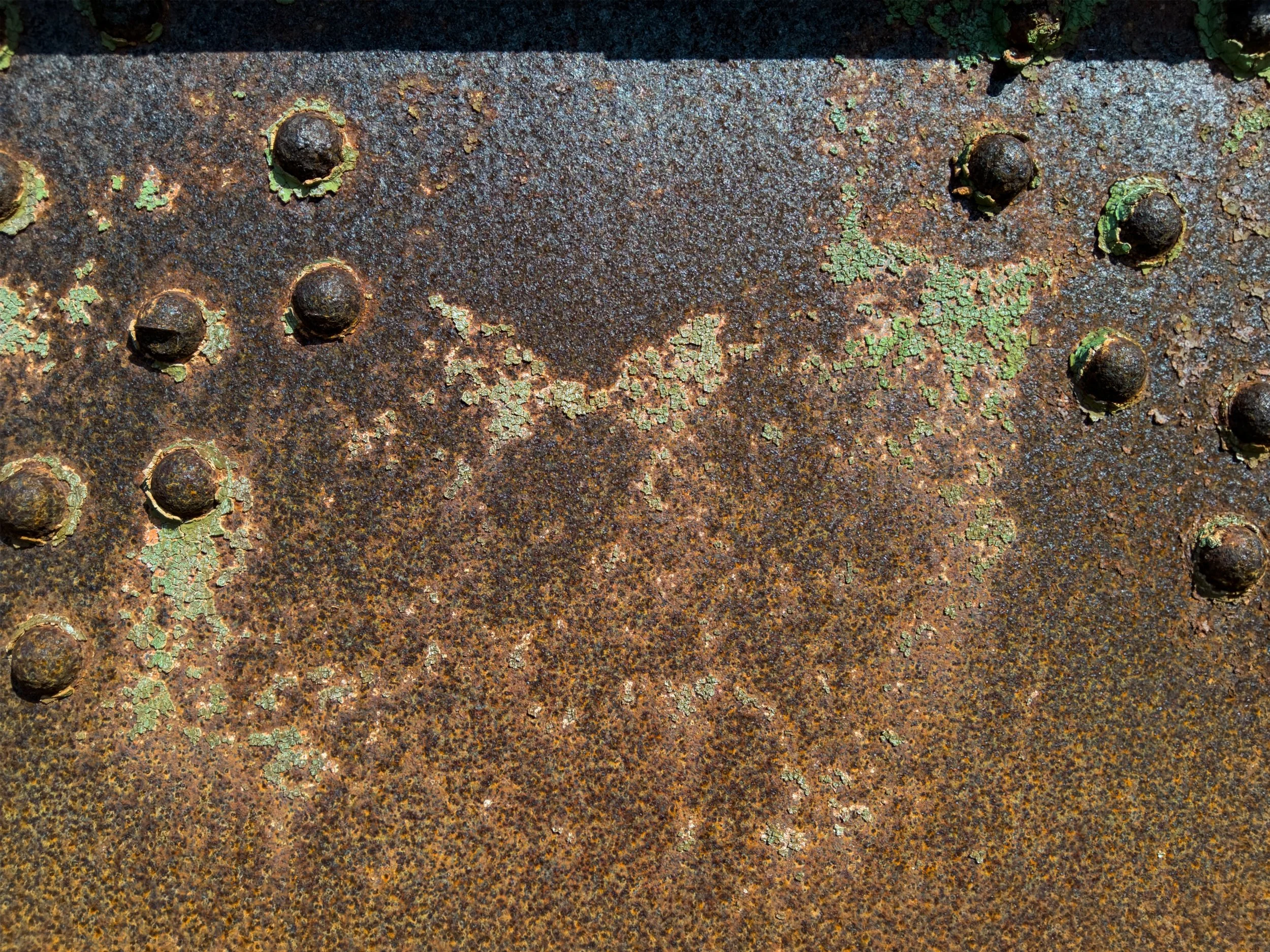 L16_01073 copy.jpg