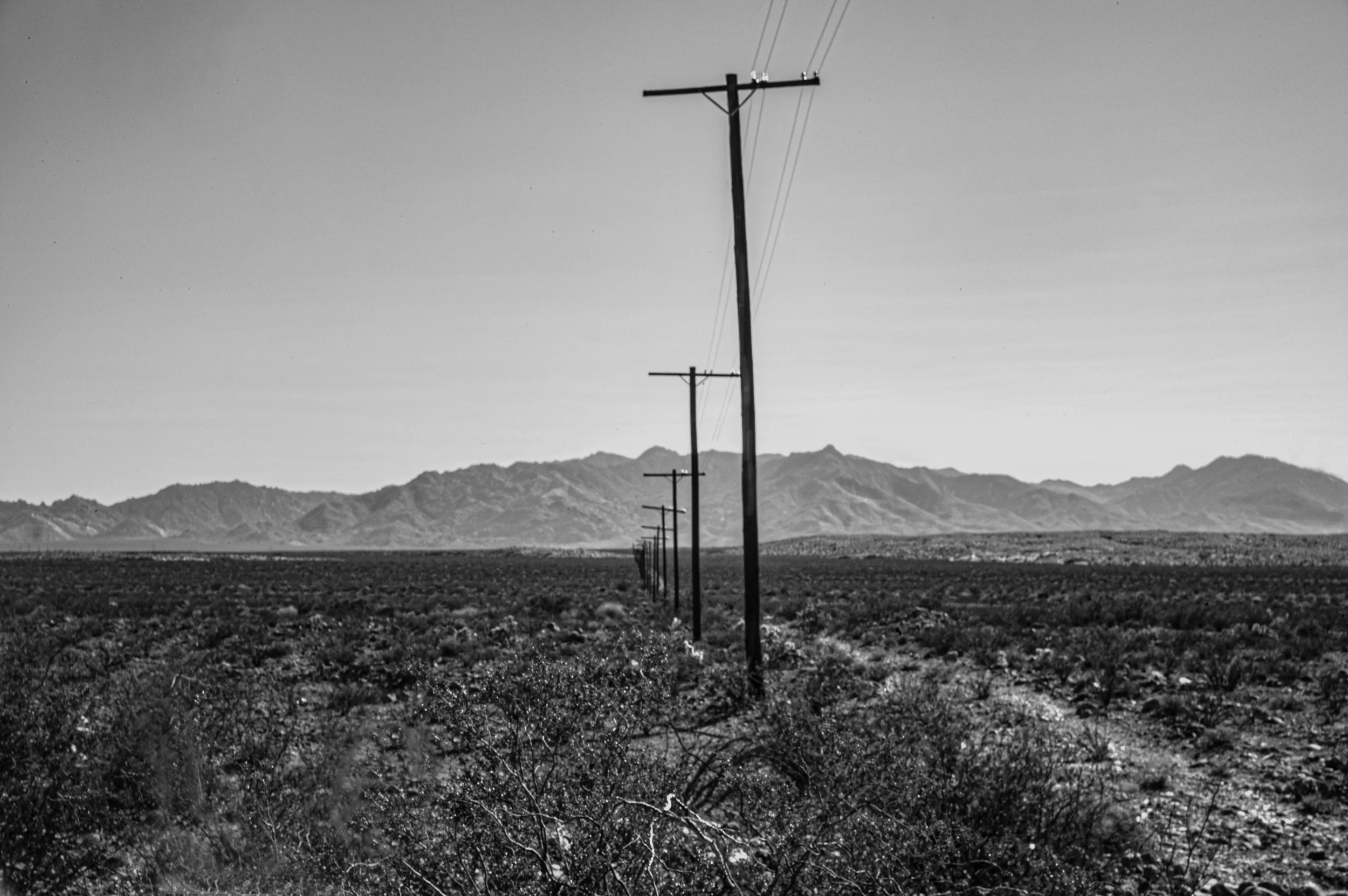 Calling Home