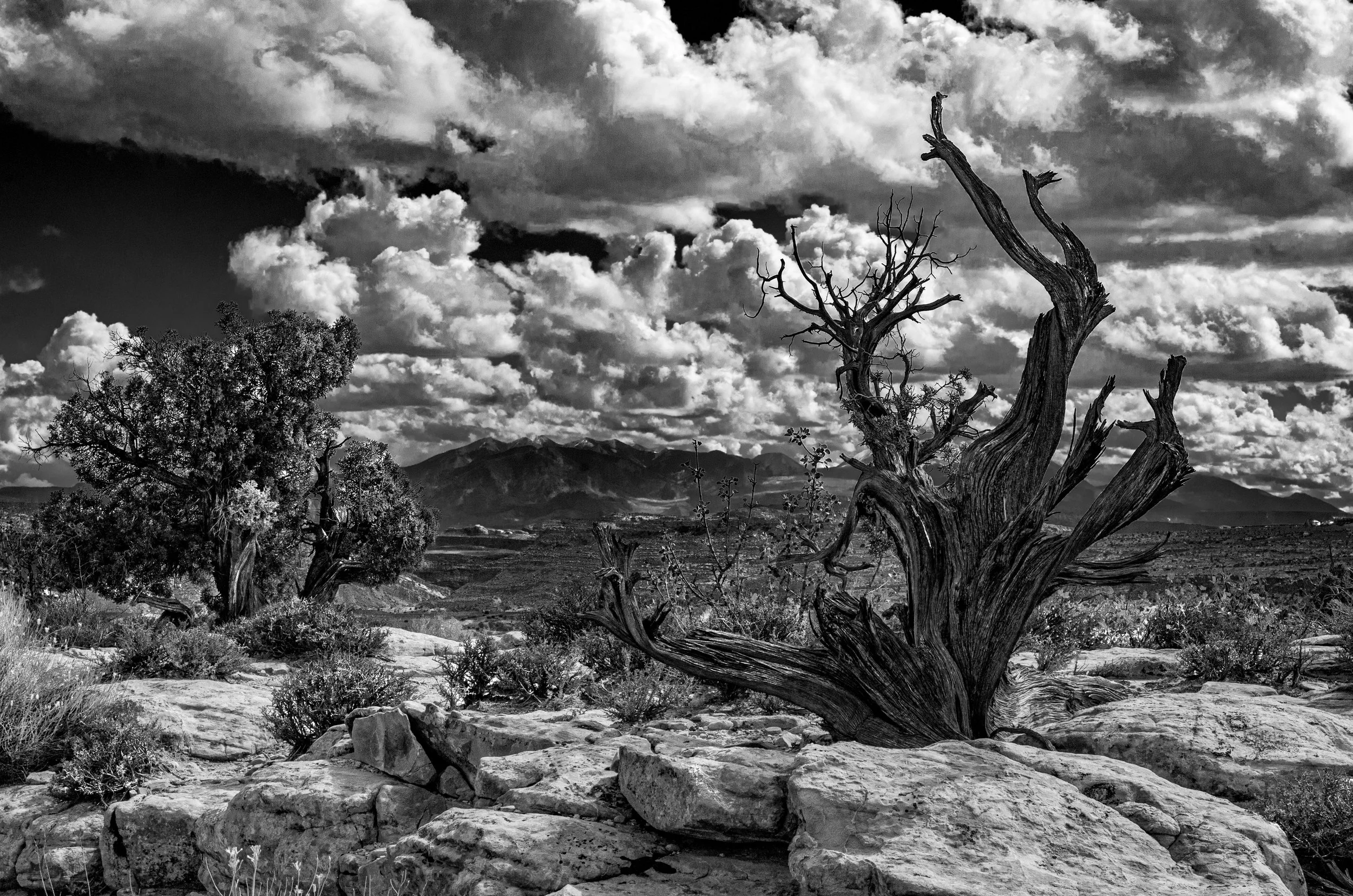 Arches, Utah - Moment View One