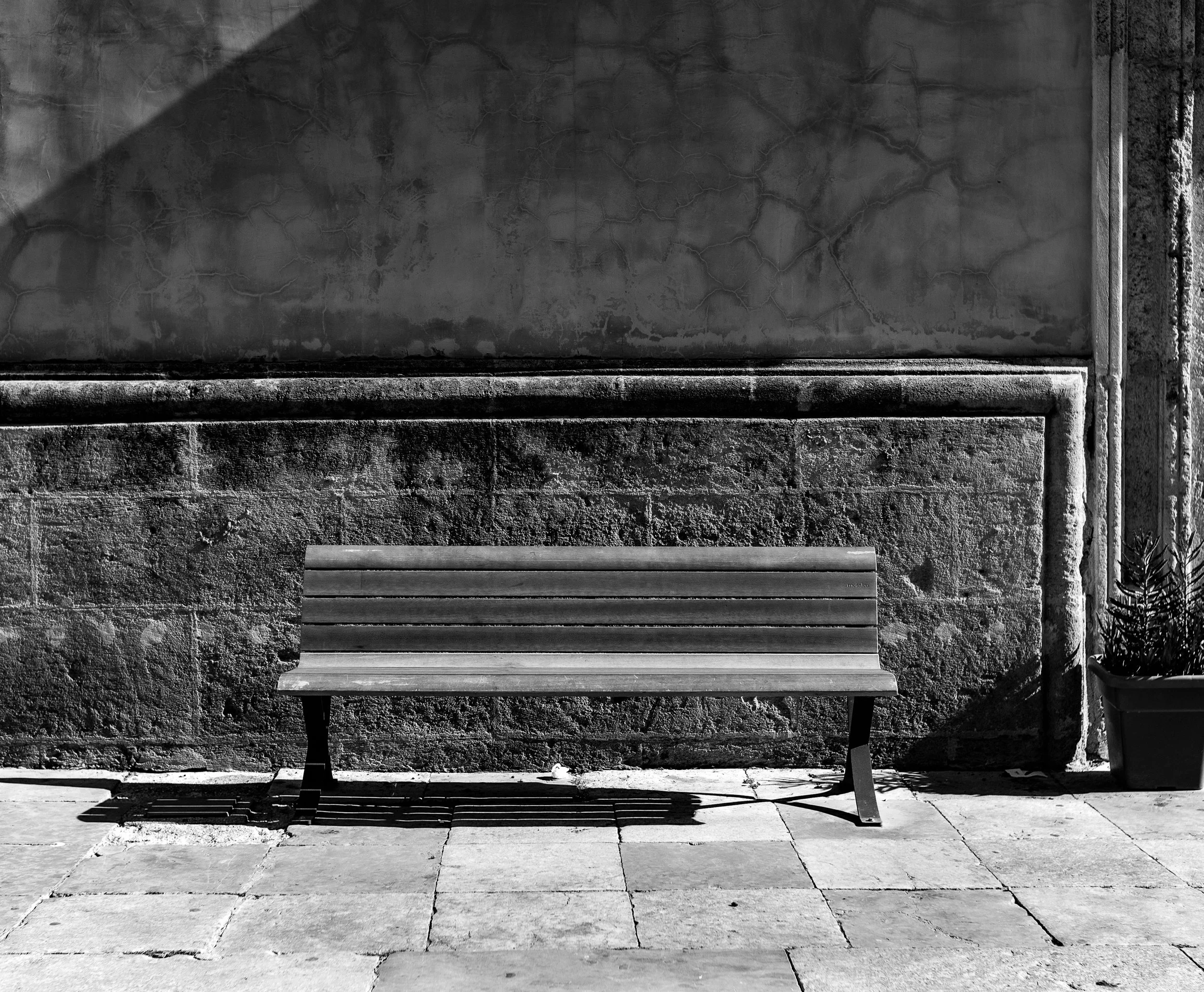 The Bench