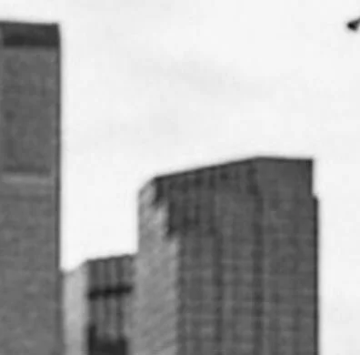 #anthonydgonzales #blackandwhitephotography #photography #photographylovers #photographyislifee #photographyislife #photographysouls #photographyeveryday #photographylover #photographylife #photographyoftheday #photographylove #photographyisart #phot