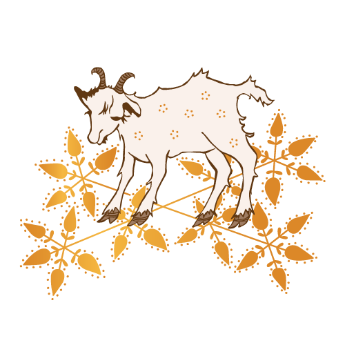 Seen + Herd