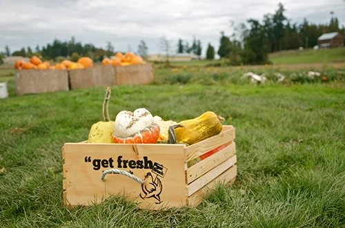 seen+herd_getfreshguide_crate.jpg
