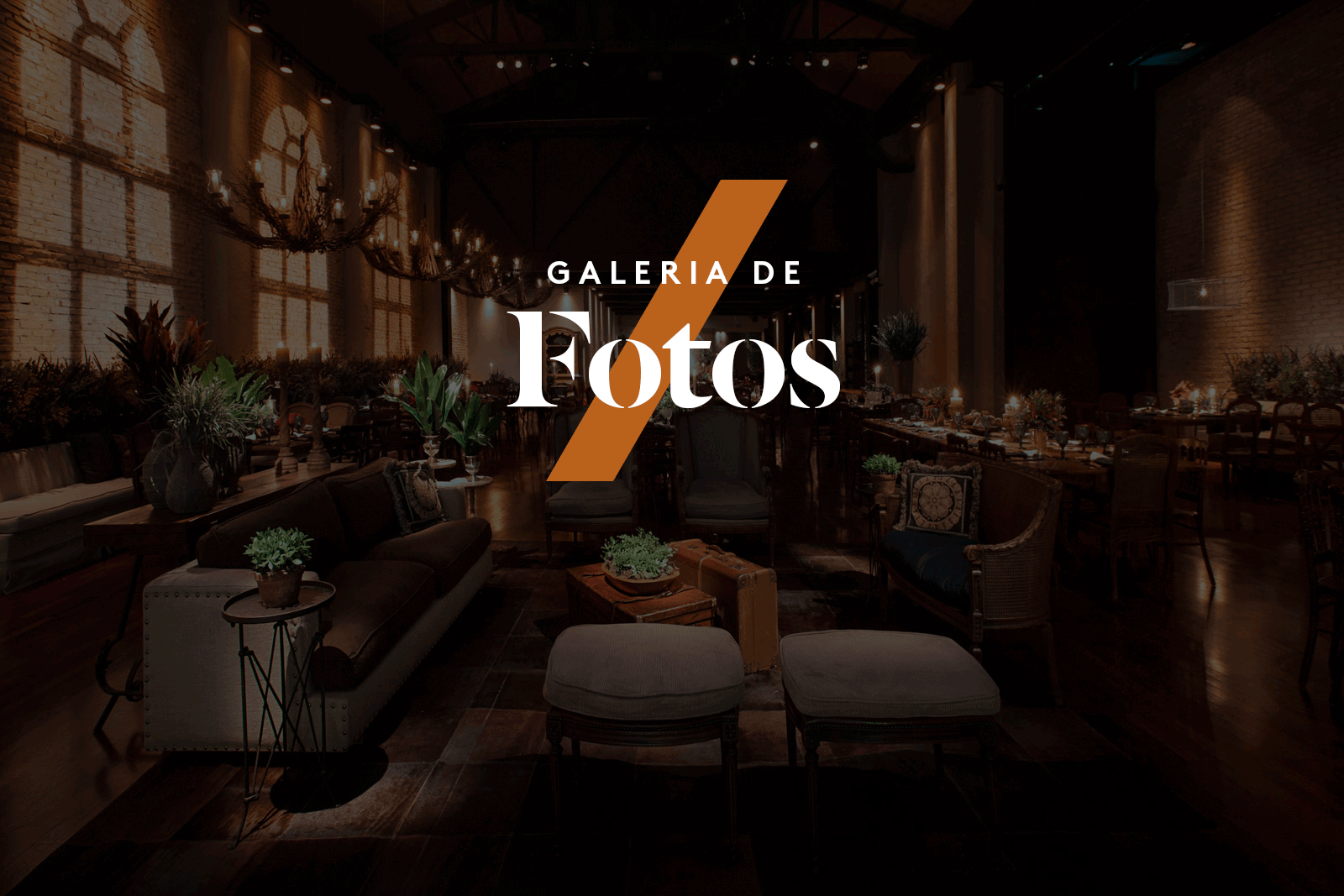 galeria.gif