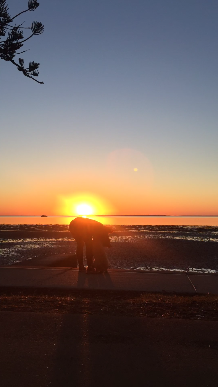 Hugs for the Pupper :)&nbsp;