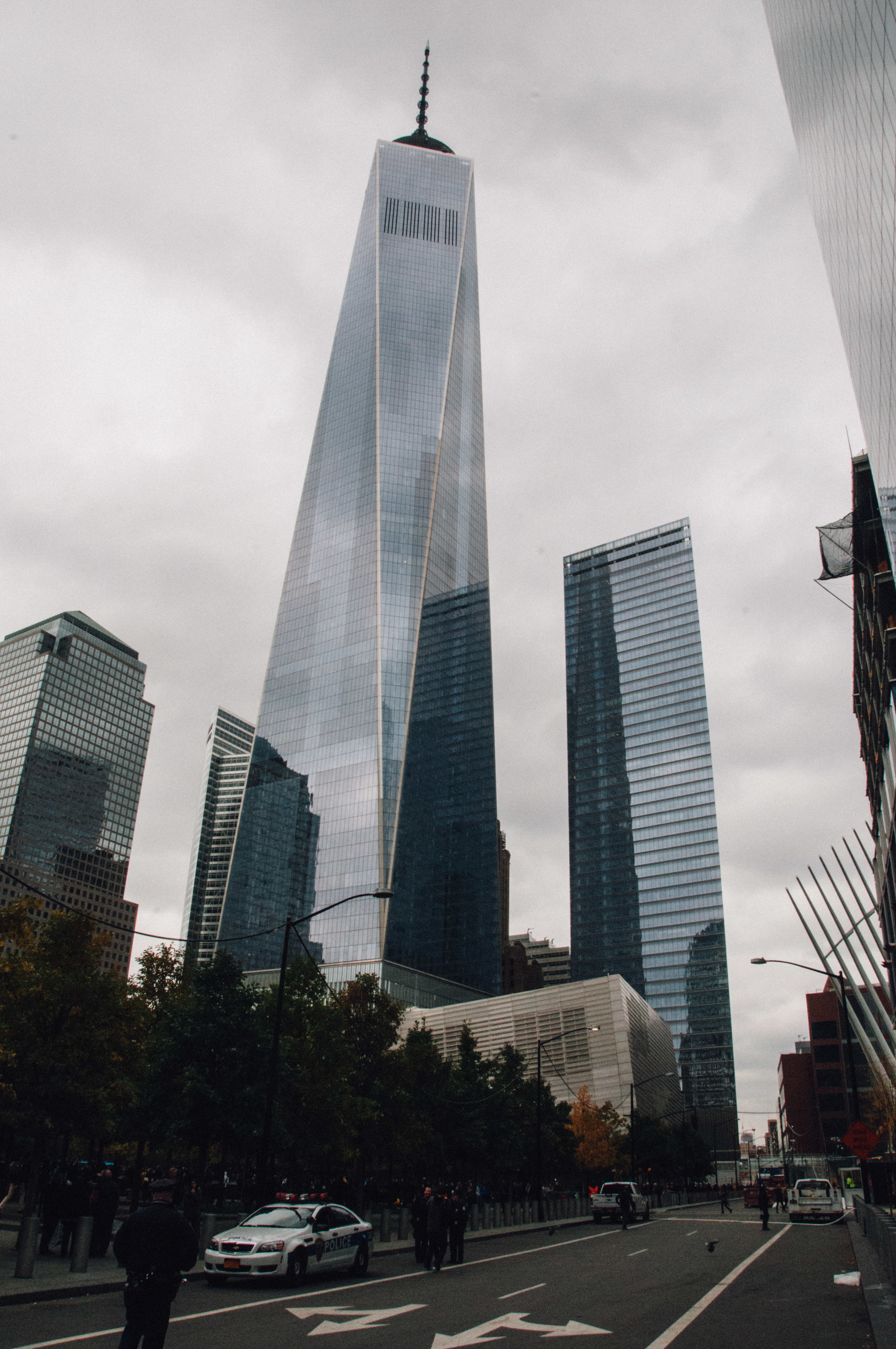 WEB_7403.jpg