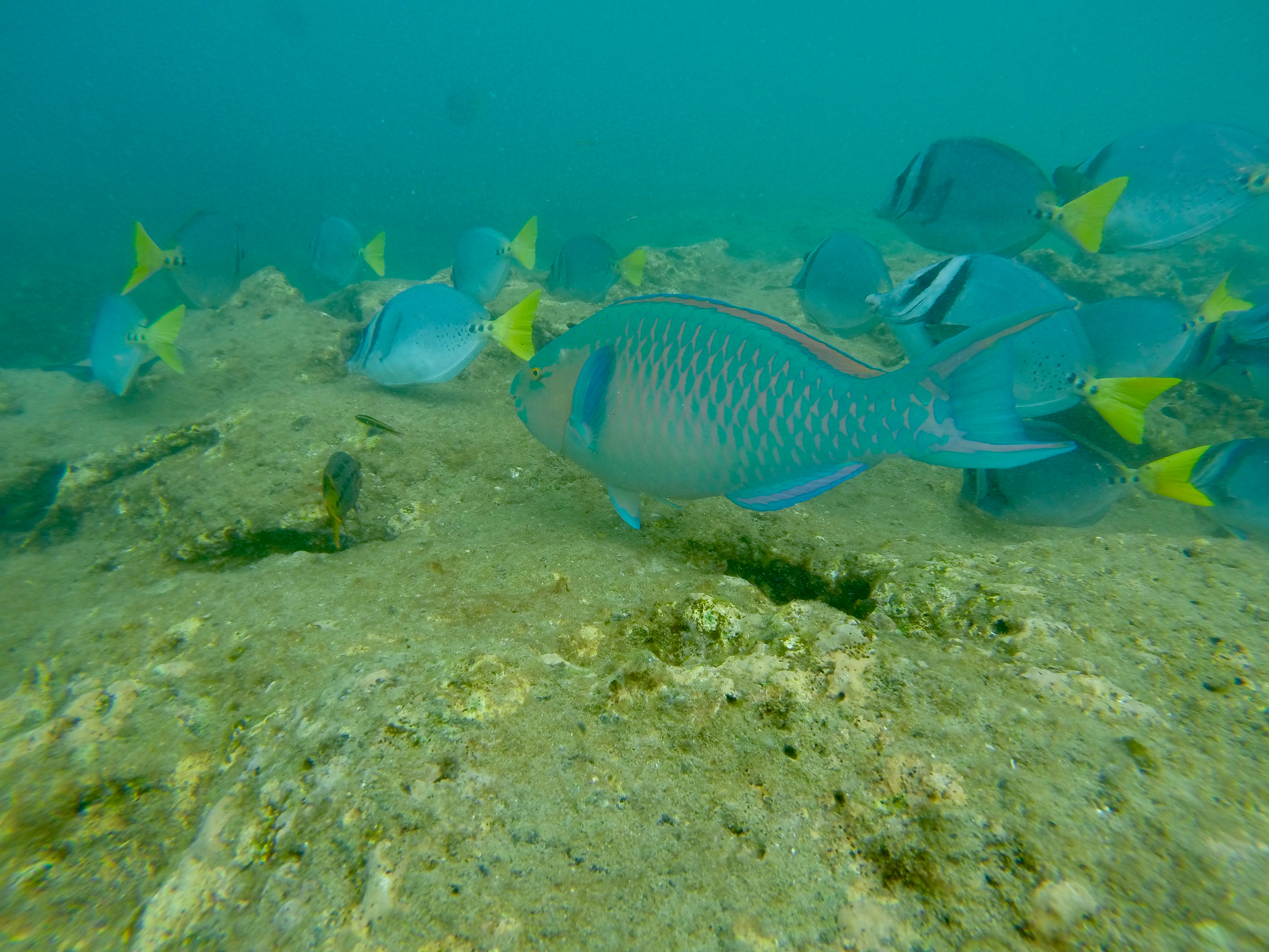 GOPR2472.jpg