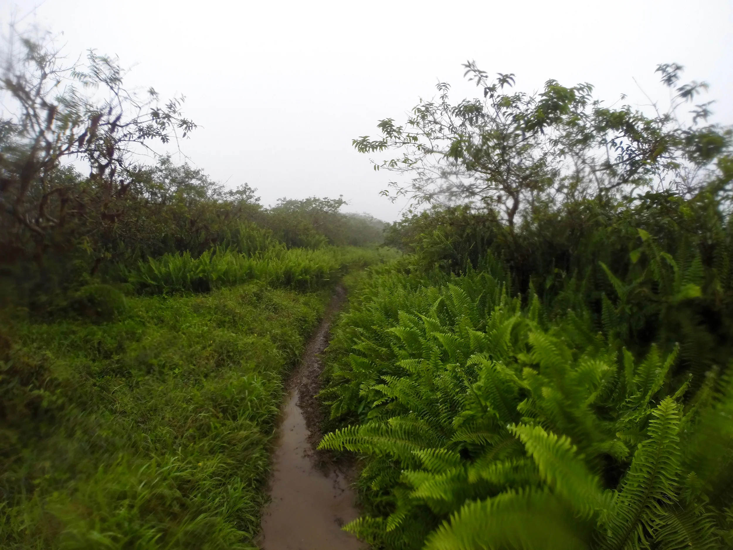 GOPR2699.jpg