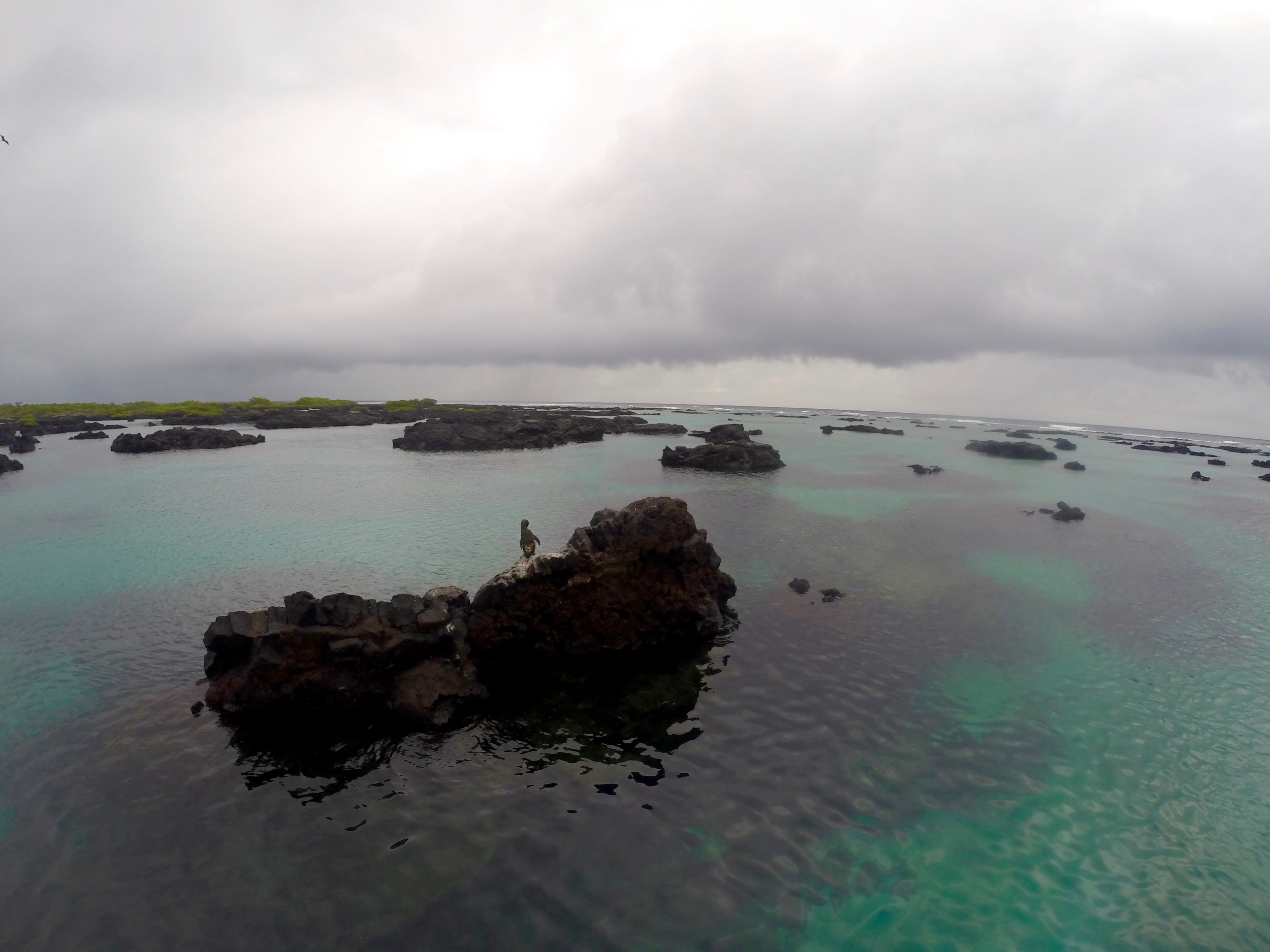 GOPR2739.jpg
