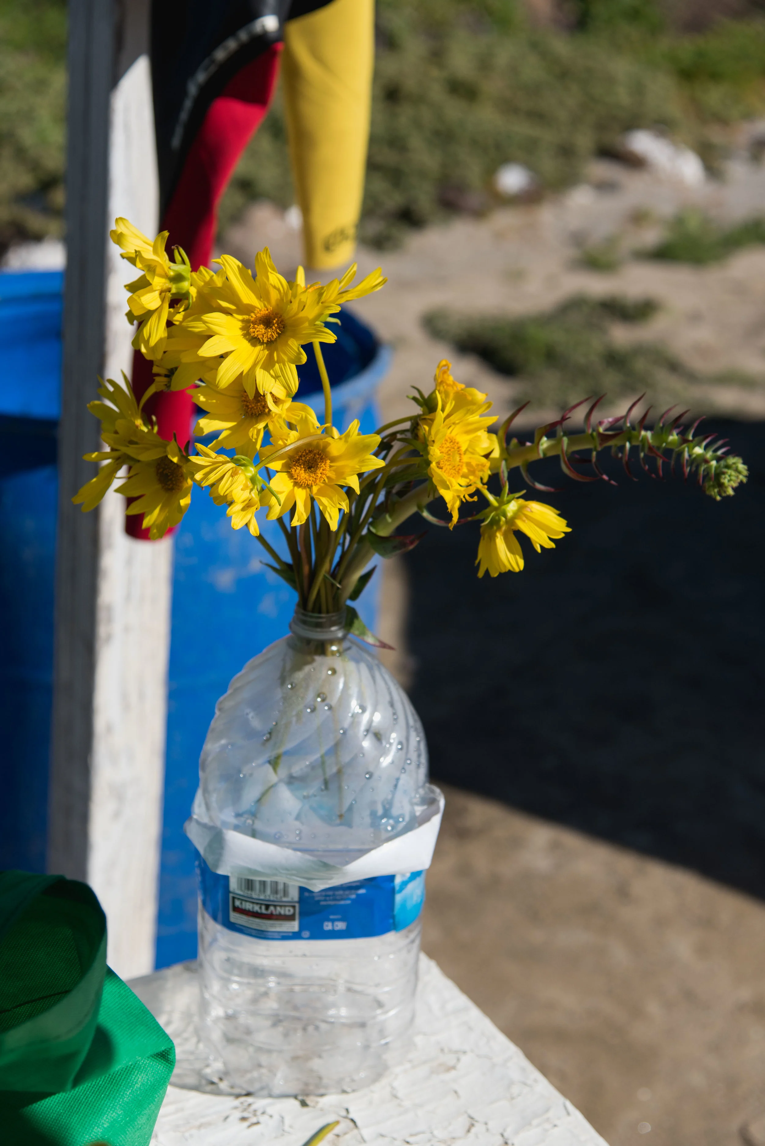 Campsite decorations.