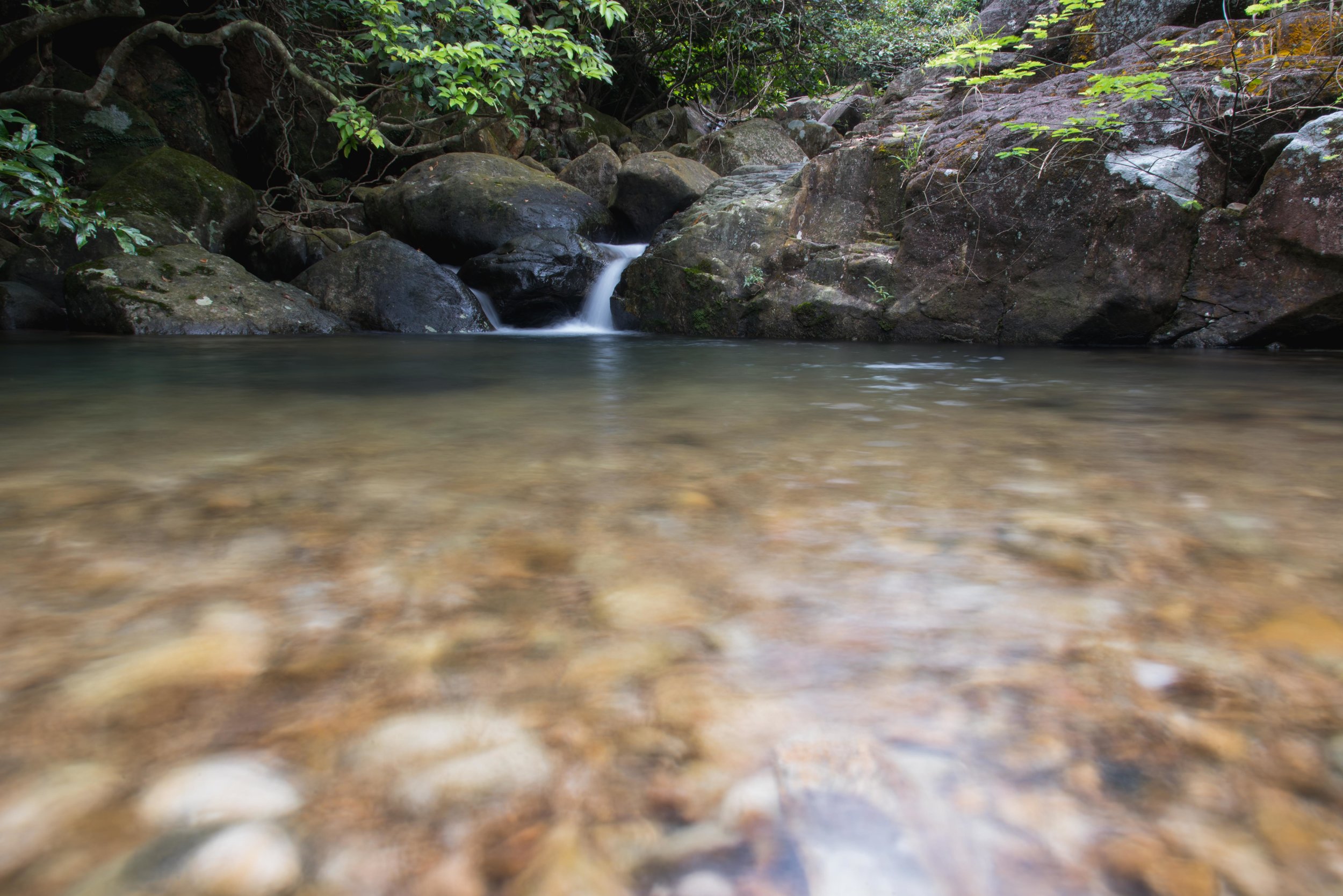  A hidden oasis in Hong Kong. Perfect for cooling off hot feet and faces in the summer humidity. 