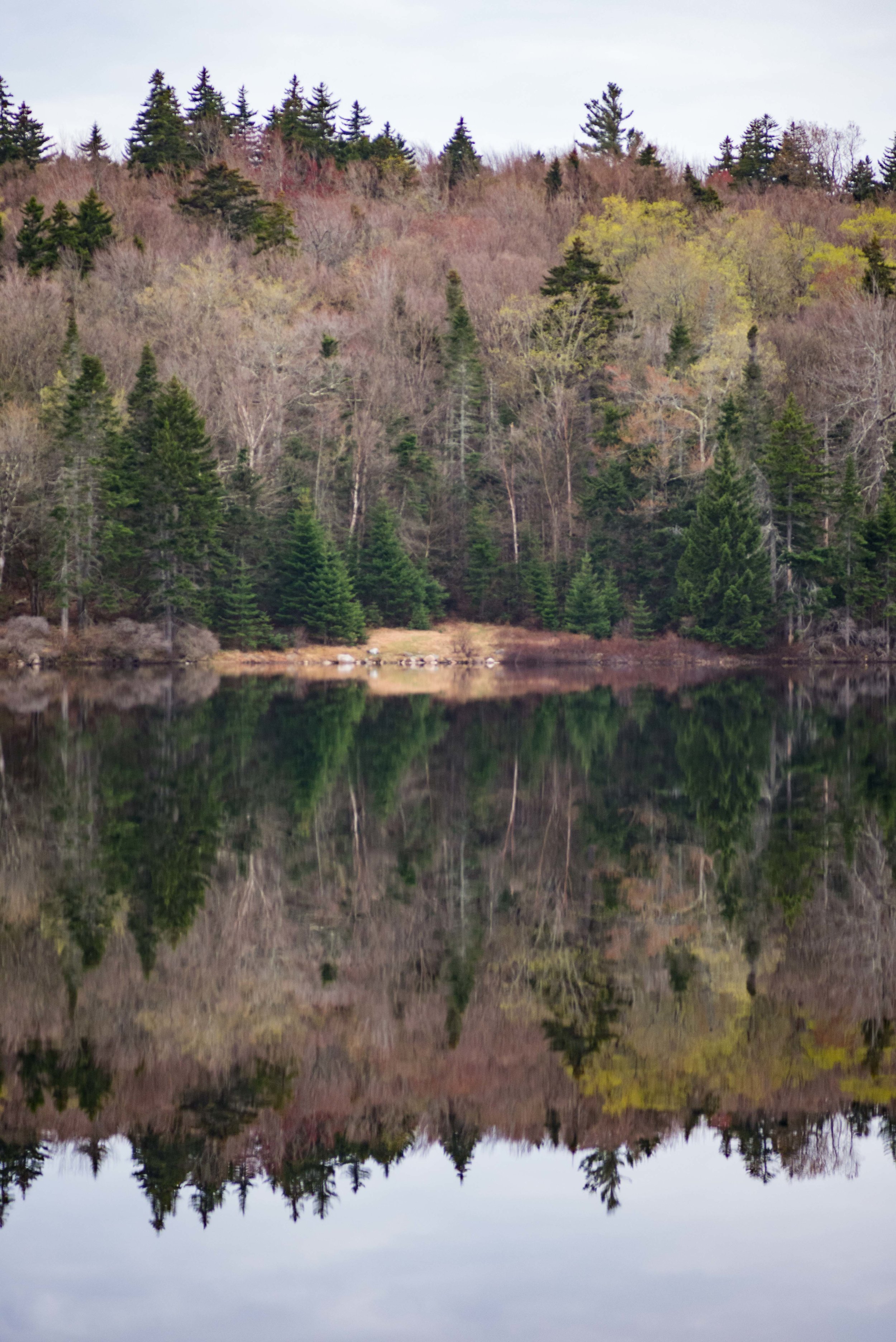 Symmetry