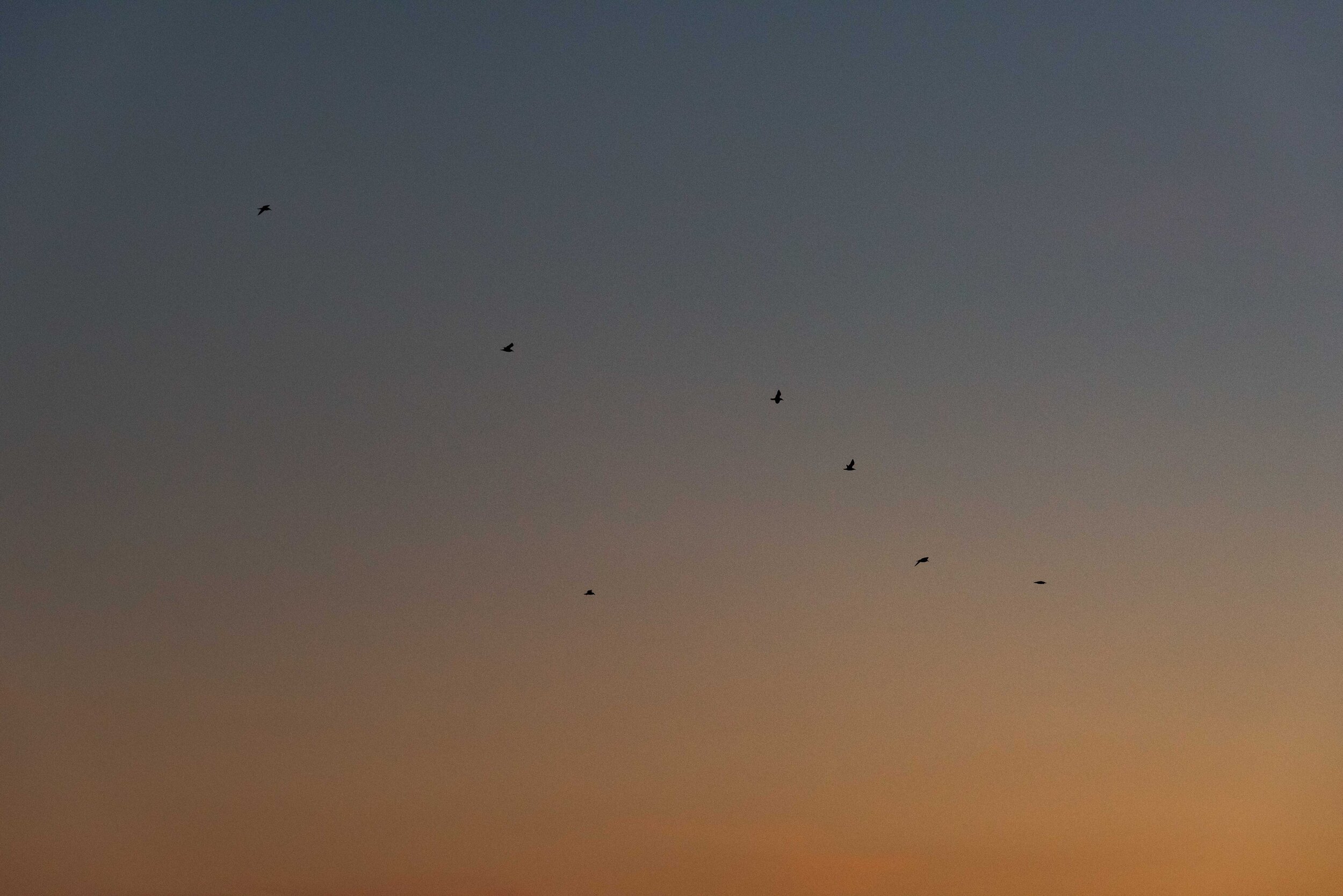 WEB_5560.jpg