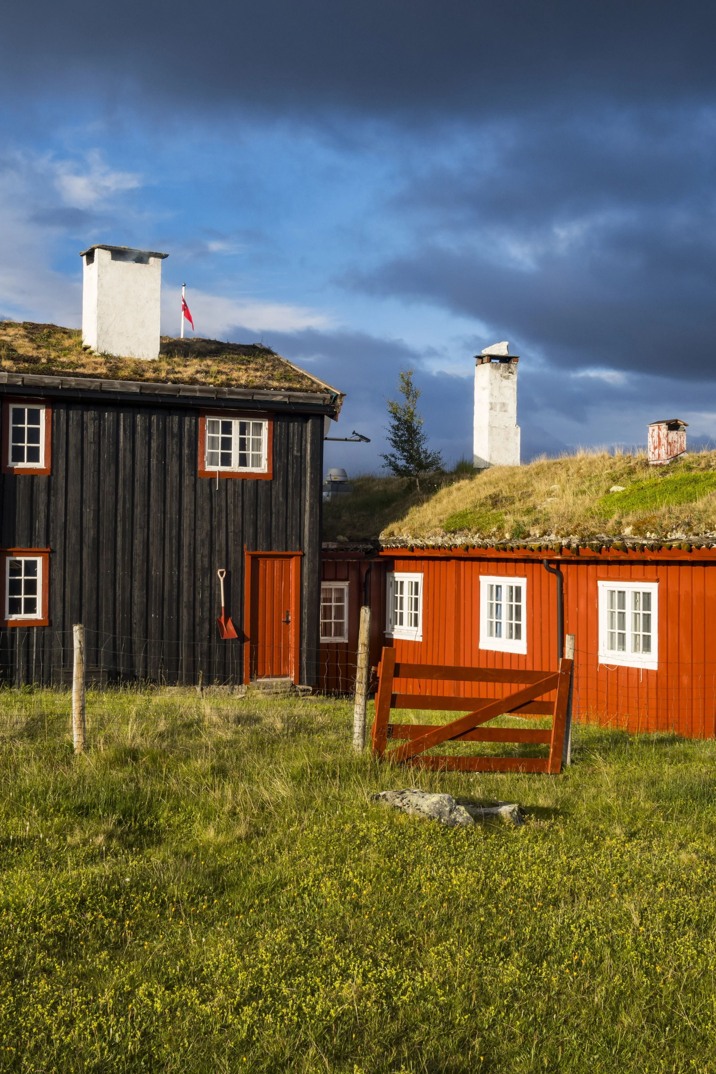 29 Phone Backgrounds