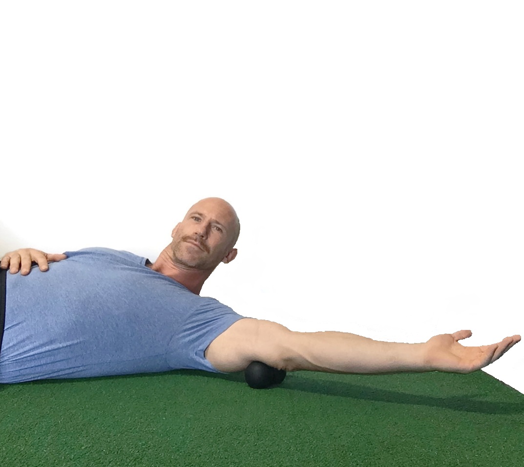 image 6 - tricep.jpg