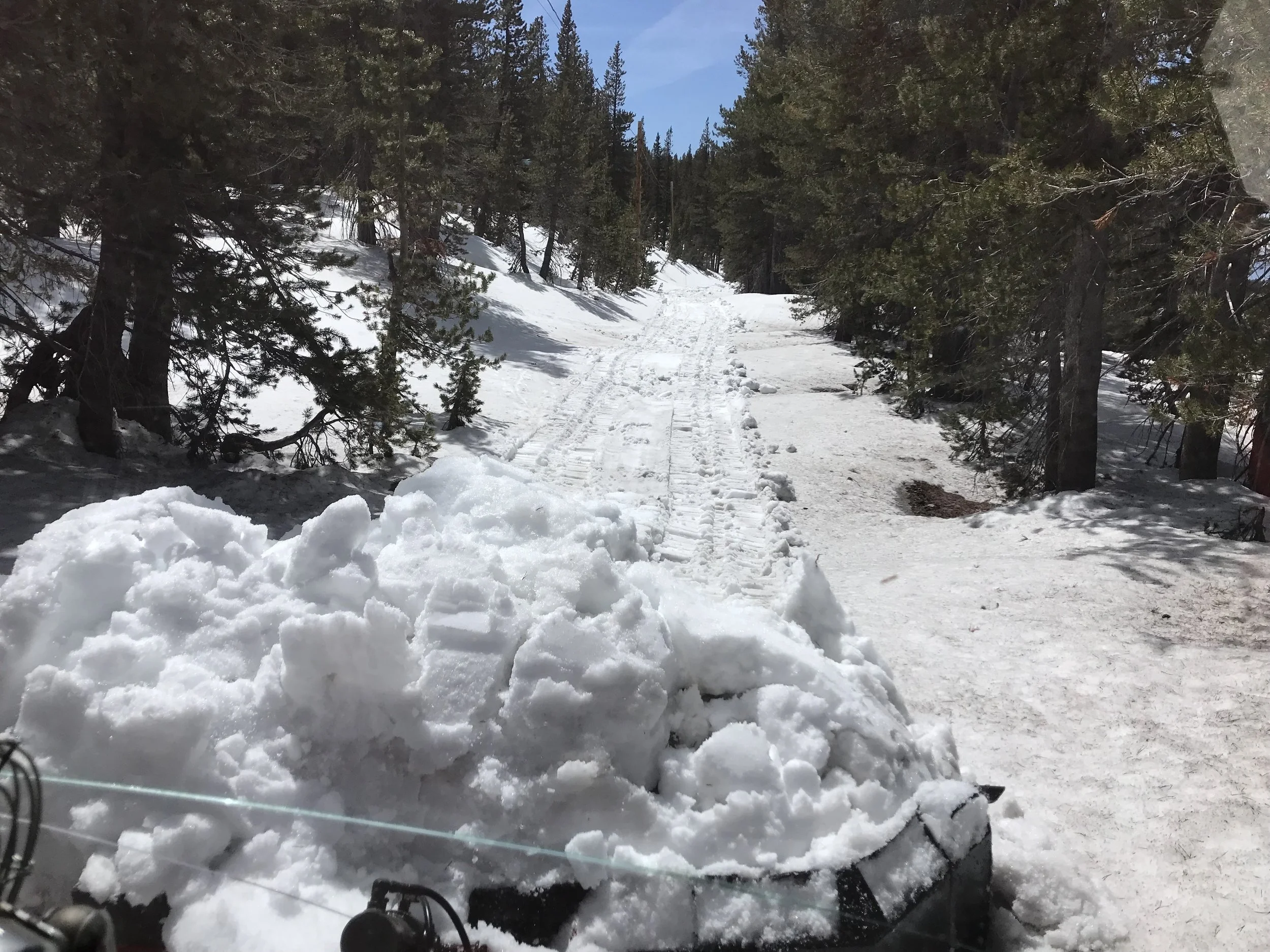 Old Mt. Rose Highway 431 is groomed! — Nevada Nordic