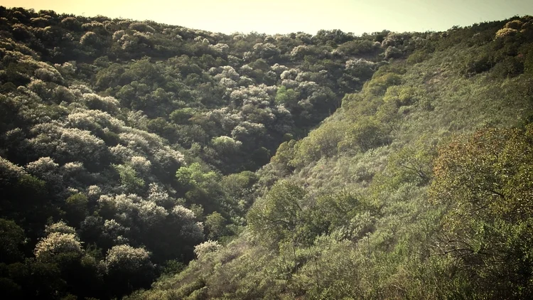 The Two Towers Part 17: Concerning a Failure of Communication