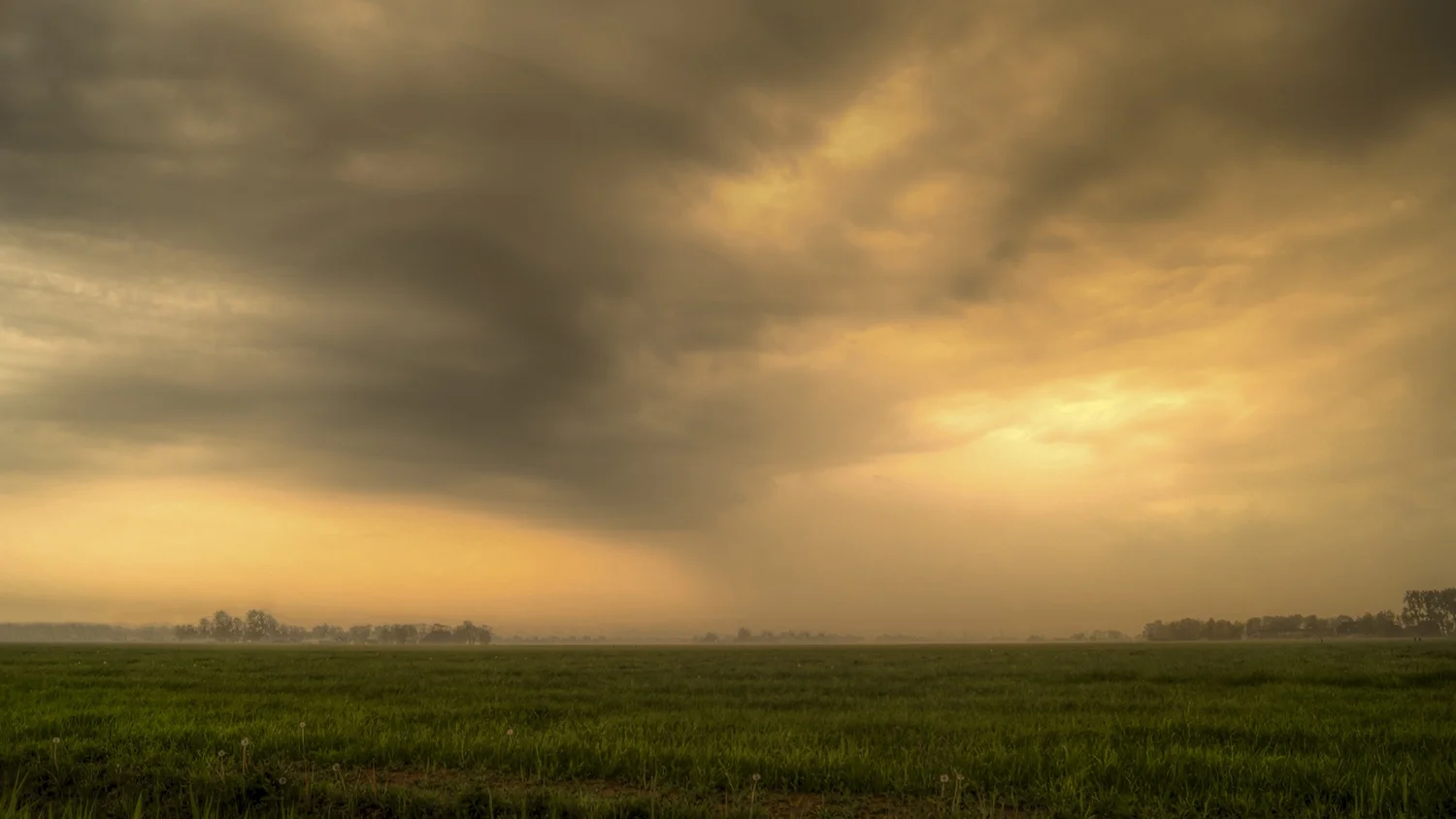 RotK Part 6: Concerning The Slaying of a King