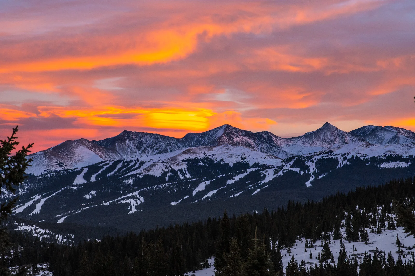Colorado-Copper-Waltershut (1 of 1).jpg