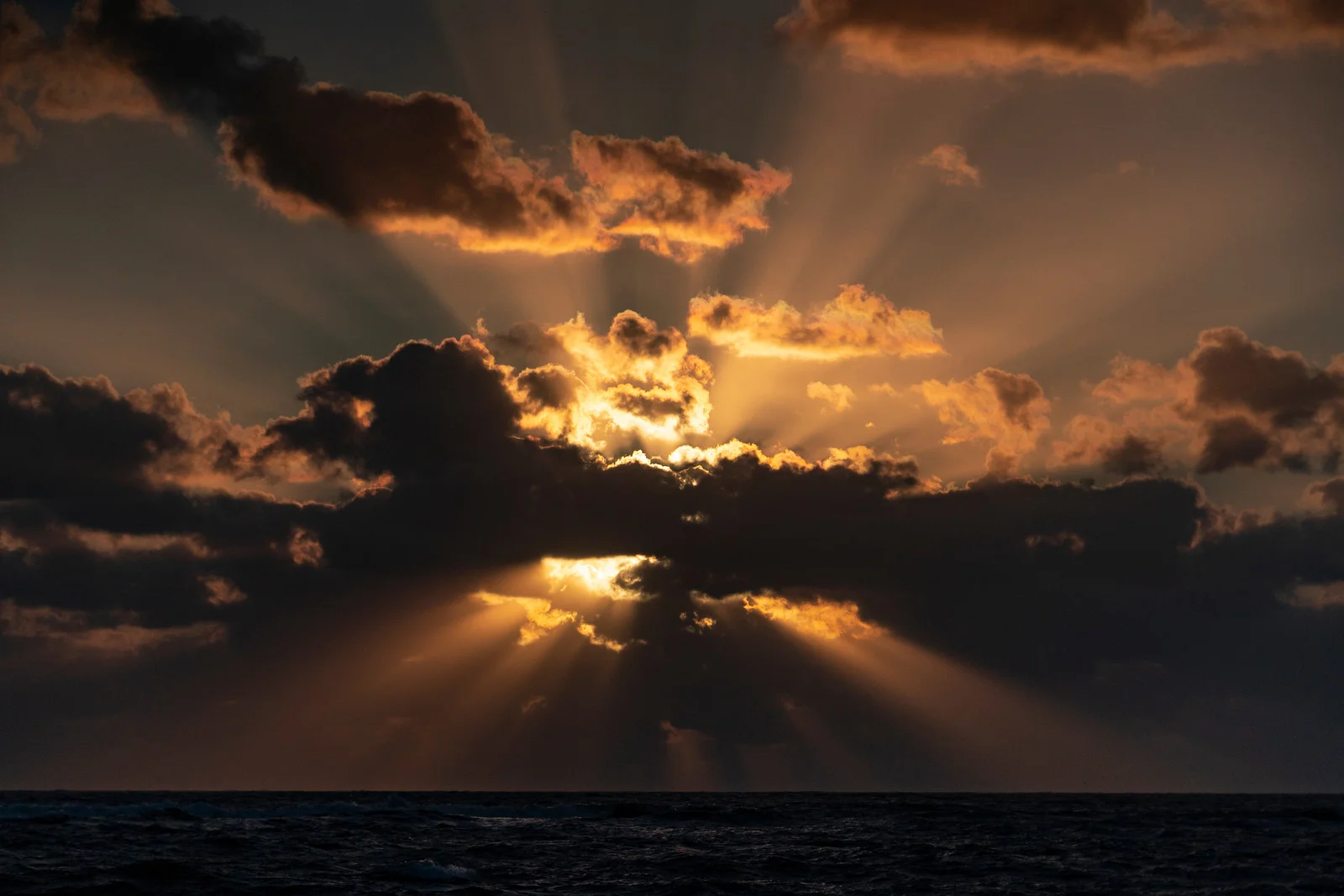03-28-2019-JohnsIsland-a9-TPJ00010.jpg