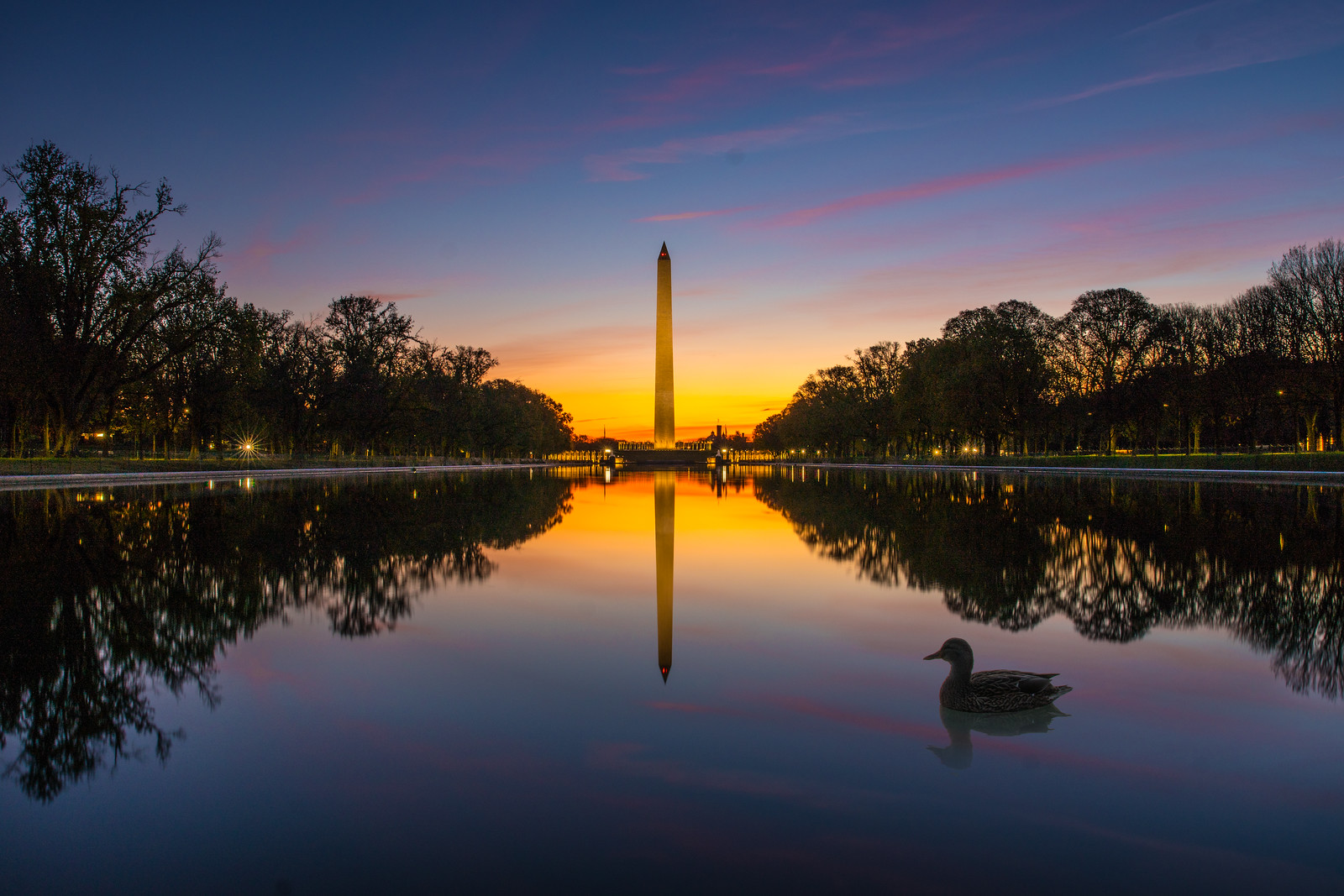 DC-reflectionpool.jpg