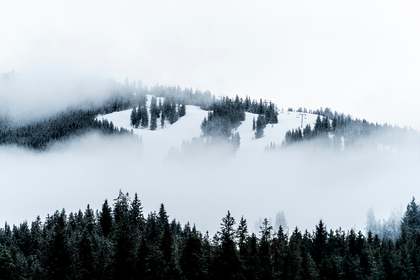 04-10-2019-WallischBC-a9-TPJ00003.jpg