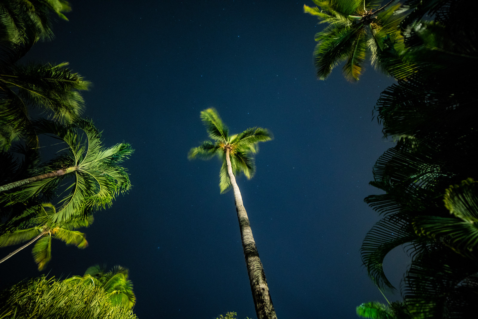 07-19-2018-DominicanRep-a7r2-TJ-DSC01323.jpg