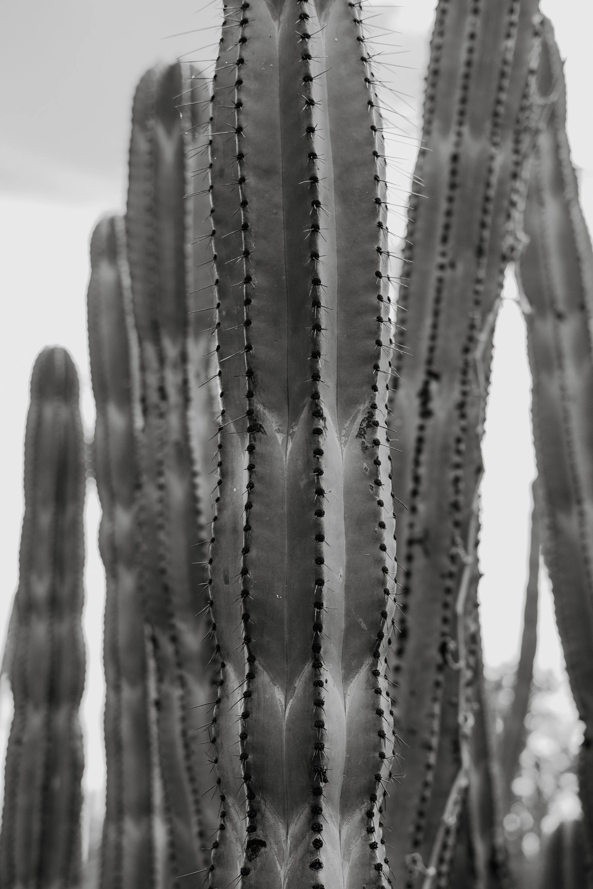 F8A797DC-2688-4D6C-A6A3-9B710C13E05D