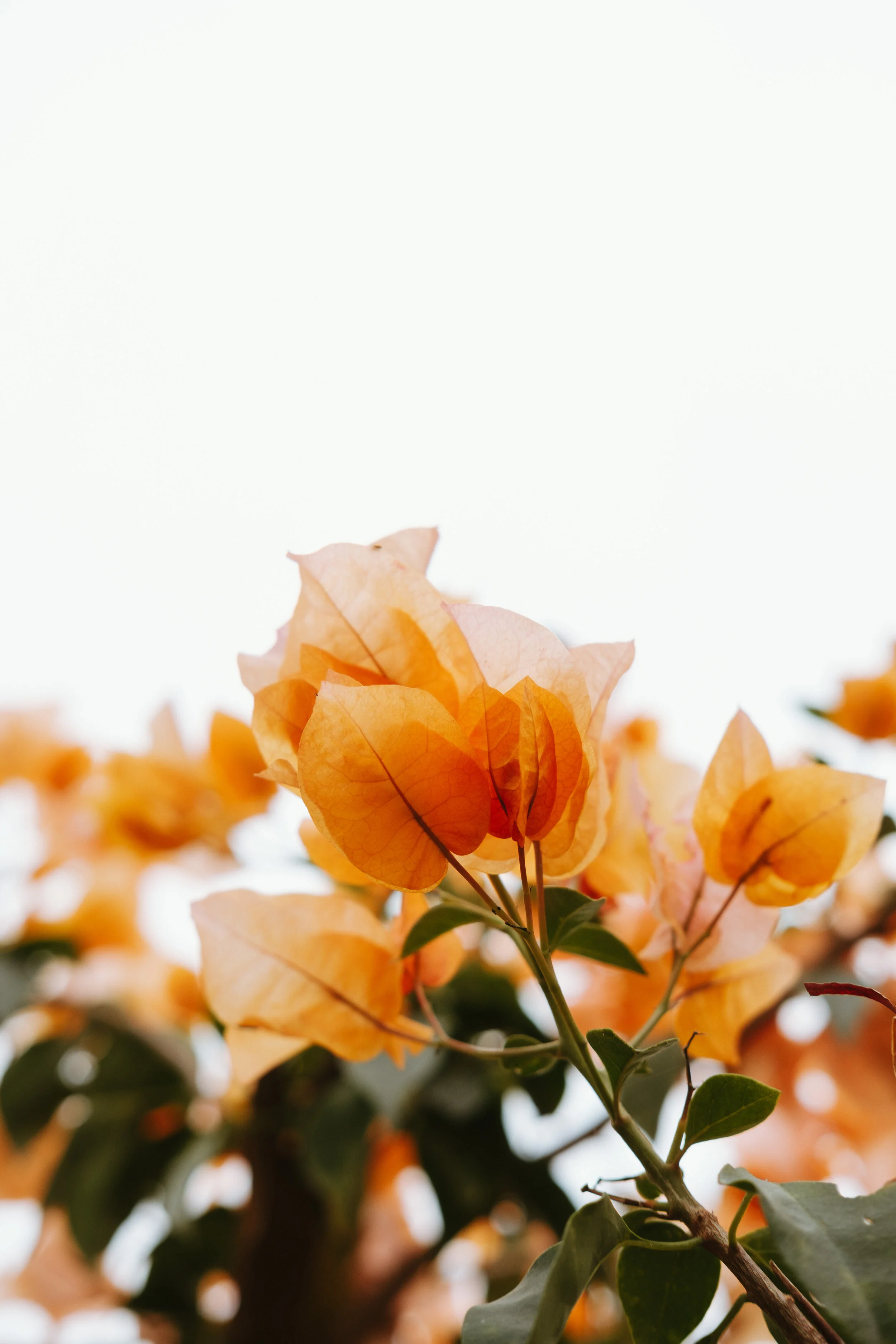 E5F9F675-68BF-42B6-B1AA-65098F99DA8B