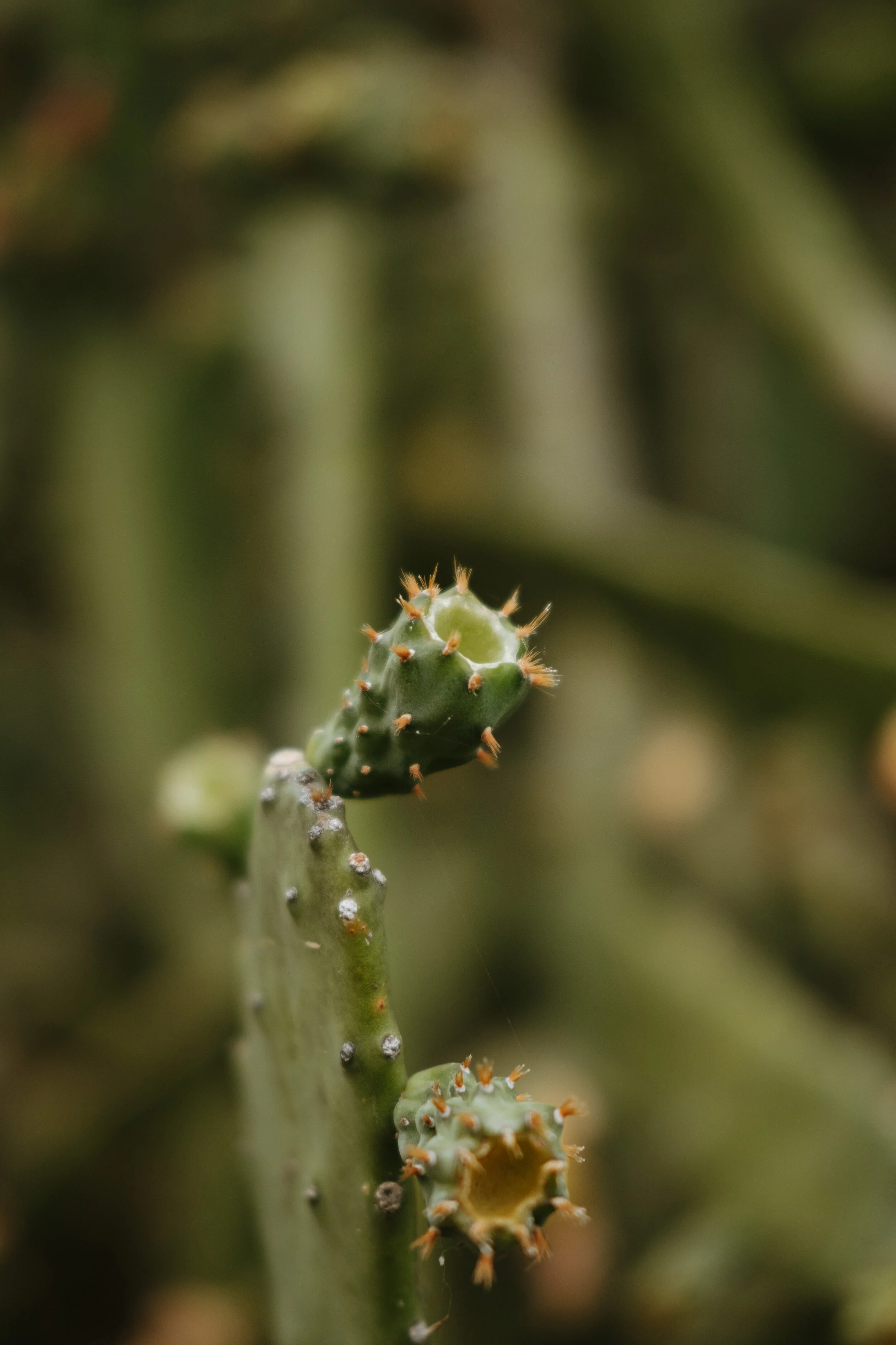 3E2B57CF-5C7C-4372-8E6D-0C659ECAA45D