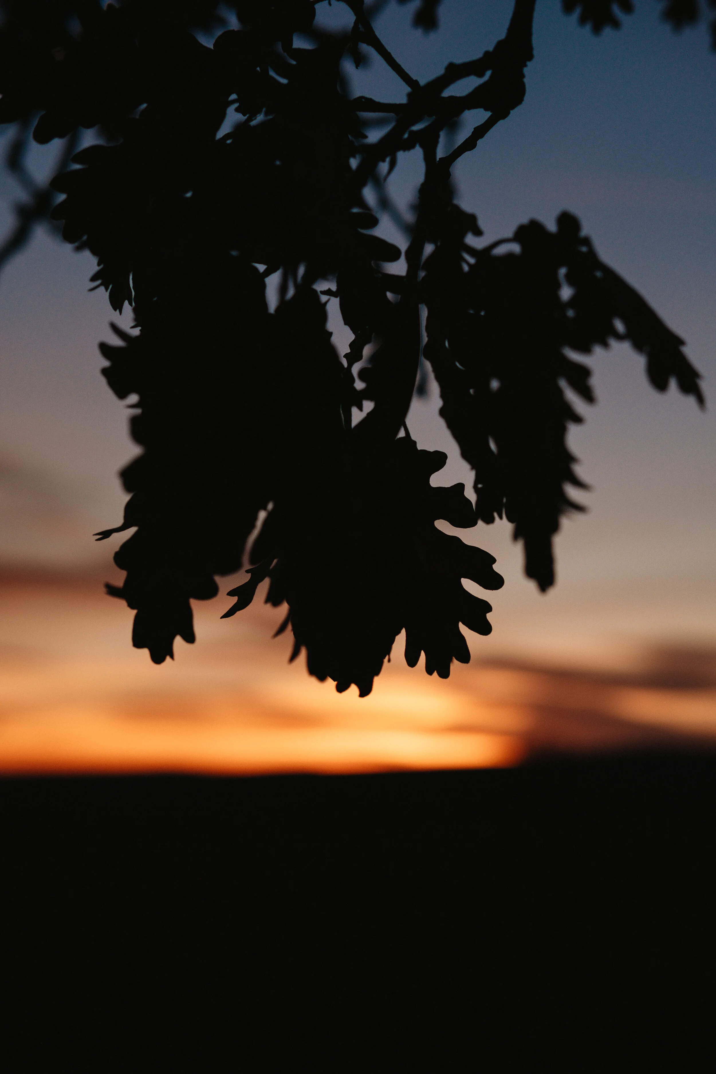 94588BE8-E313-41E8-A875-90C4CC46BE71