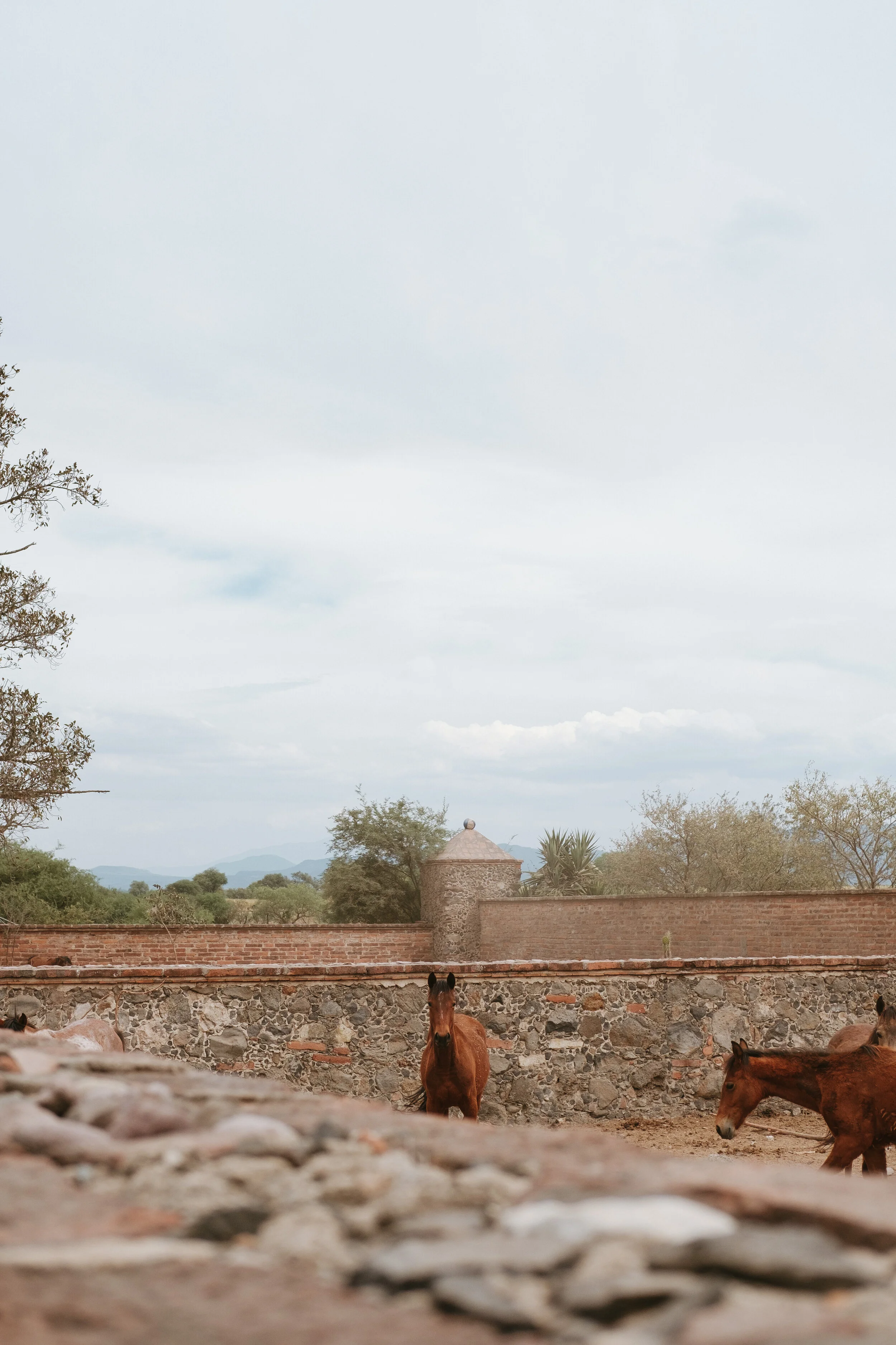 31E54919-A3D3-4A4C-901F-8924144F710B