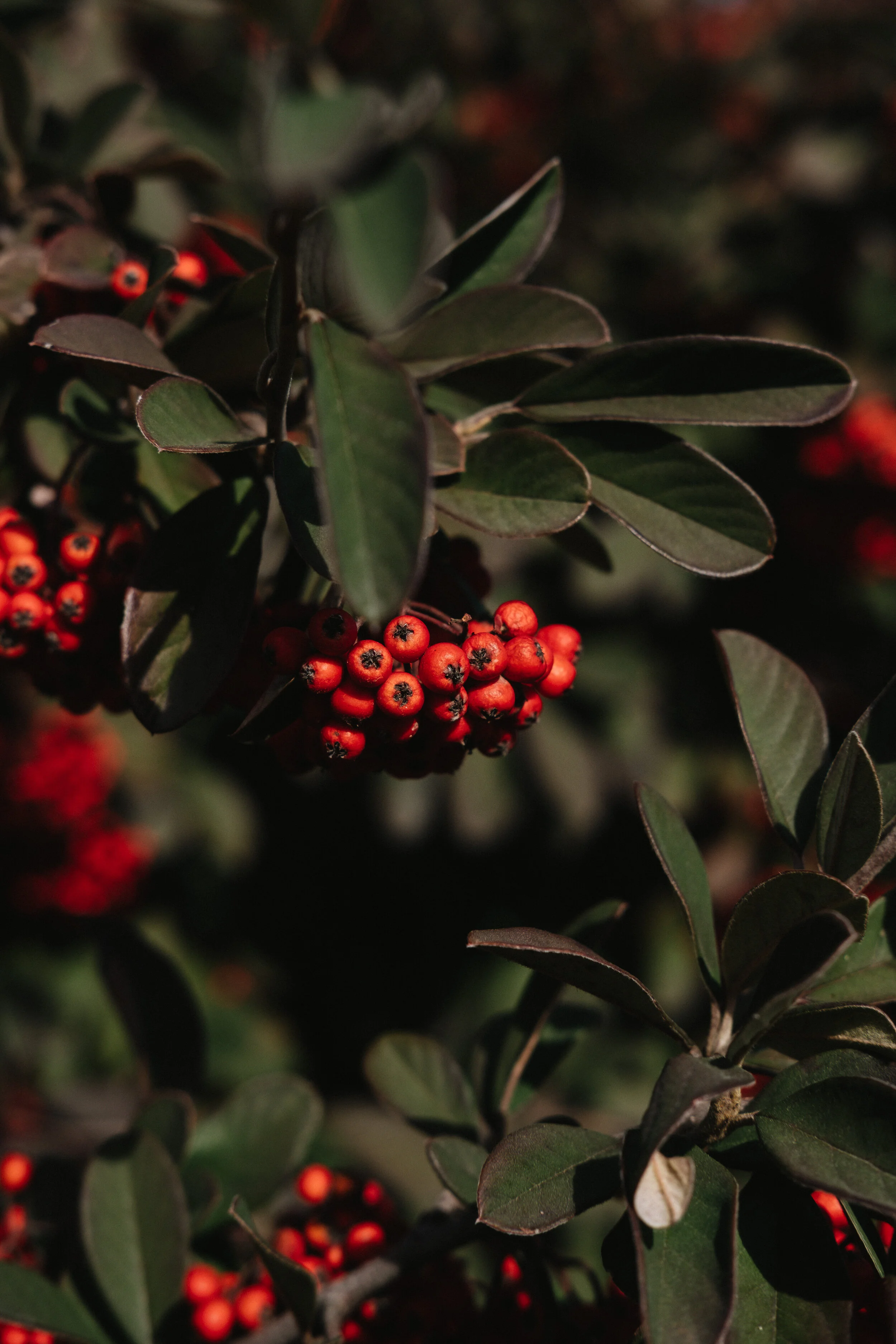 96221656-BCE6-4E3E-ACB5-9EA354B09B19