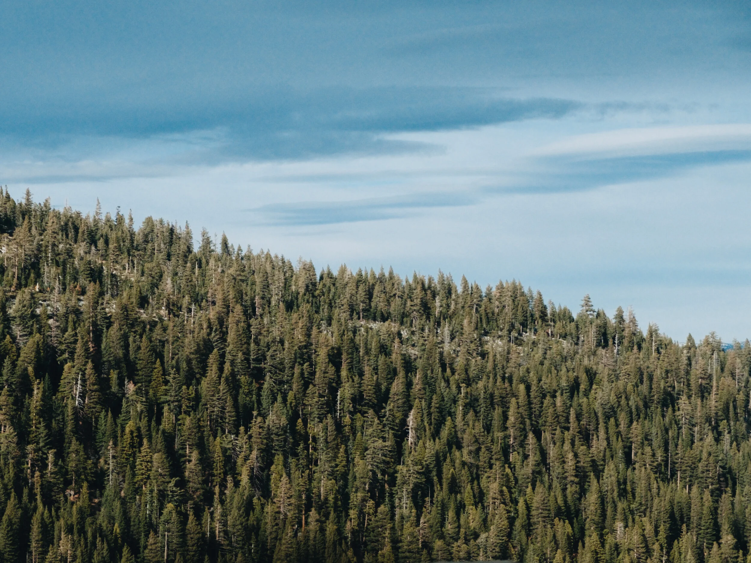 90AE2BA9-5BF7-4CC1-81F5-8384836FEFF7