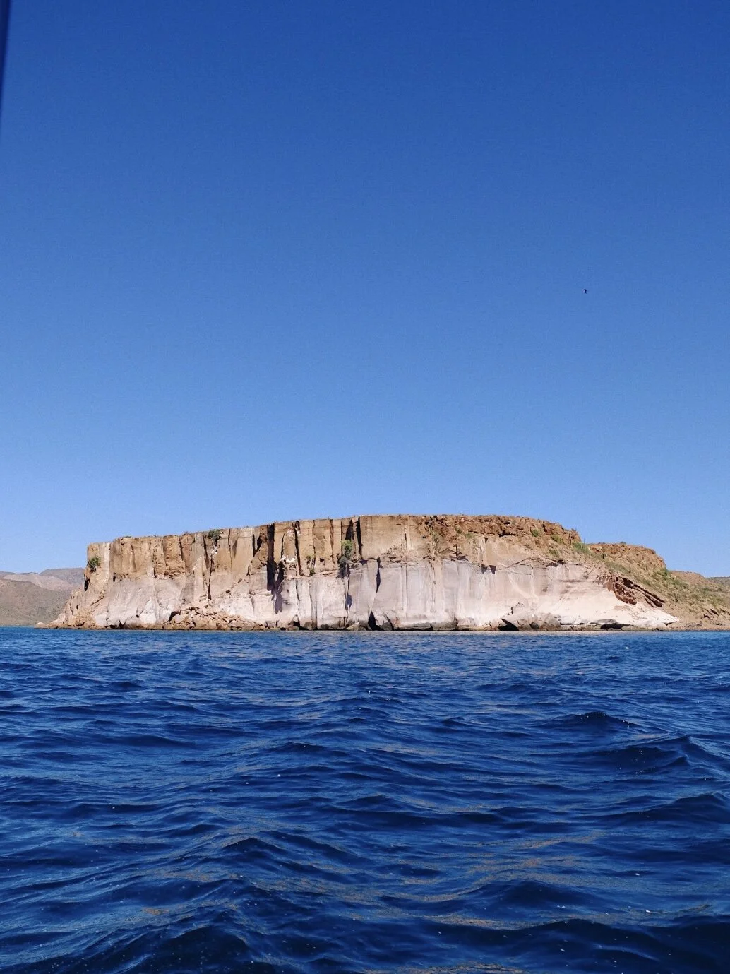 9338B0F8-9A50-48E2-8C40-6FD432416FA6