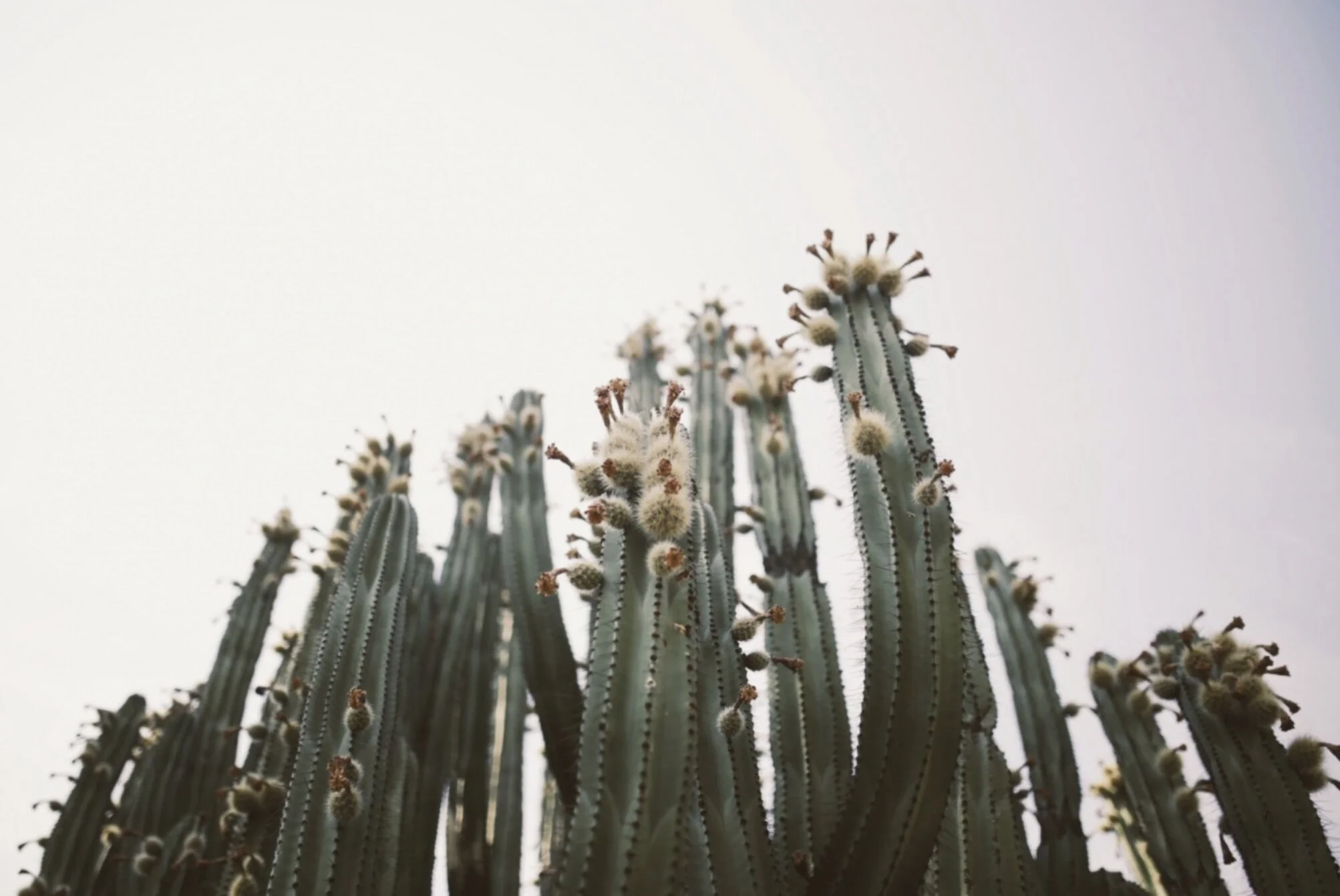 29FAB6AF-B595-45AE-87B5-E61AB2C313AA